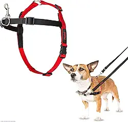 Peitoral de controle frontal HALTI - para impedir que seu cão puxe a coleira. Ajustável, leve e fácil de usar. Arnês de treinamento para cães pequenos (tamanho P)