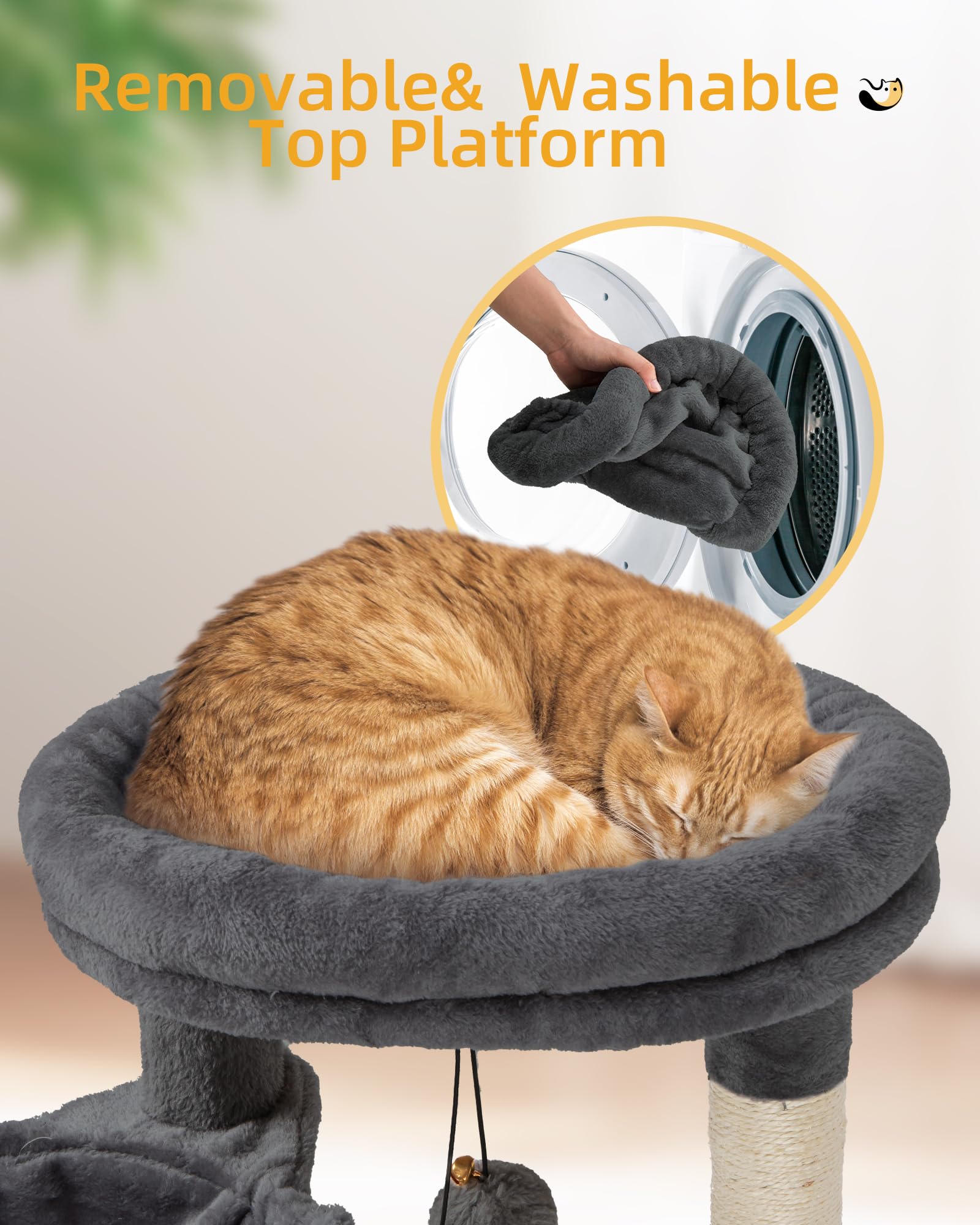 https://m.media-amazon.com/images/I/81PqbFn-6JL.jpg