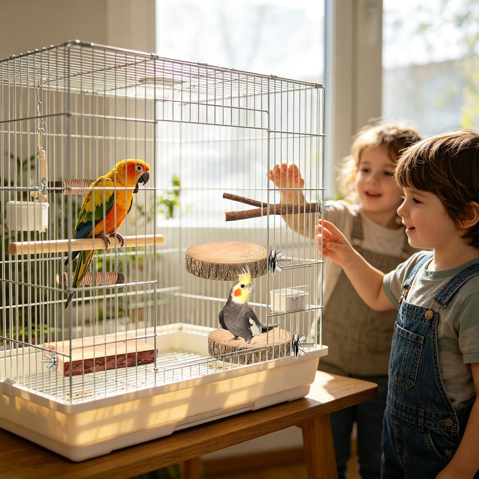 Sitzstange aus Holz, Vogelkäfig, Schaukel und Tablett für Vögel