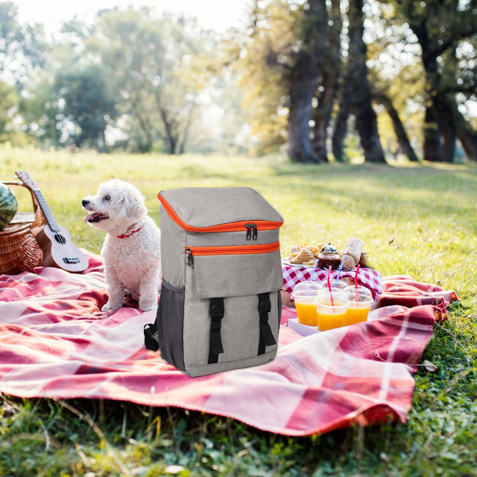 Borsa Termica Isolata per Picnic e Campeggio e Leggera Grande Capacità per Pranzo al Sacco e Viaggi all Aperto