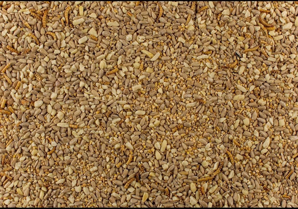 1 kg Johnston & Jeff Robin & Songbird Wild Bird Food with Mealworm – Premium High Energy Seed Mix for Robins & Small Garden Birds | Sunflower Hearts, Peanut Granules, Mealworms