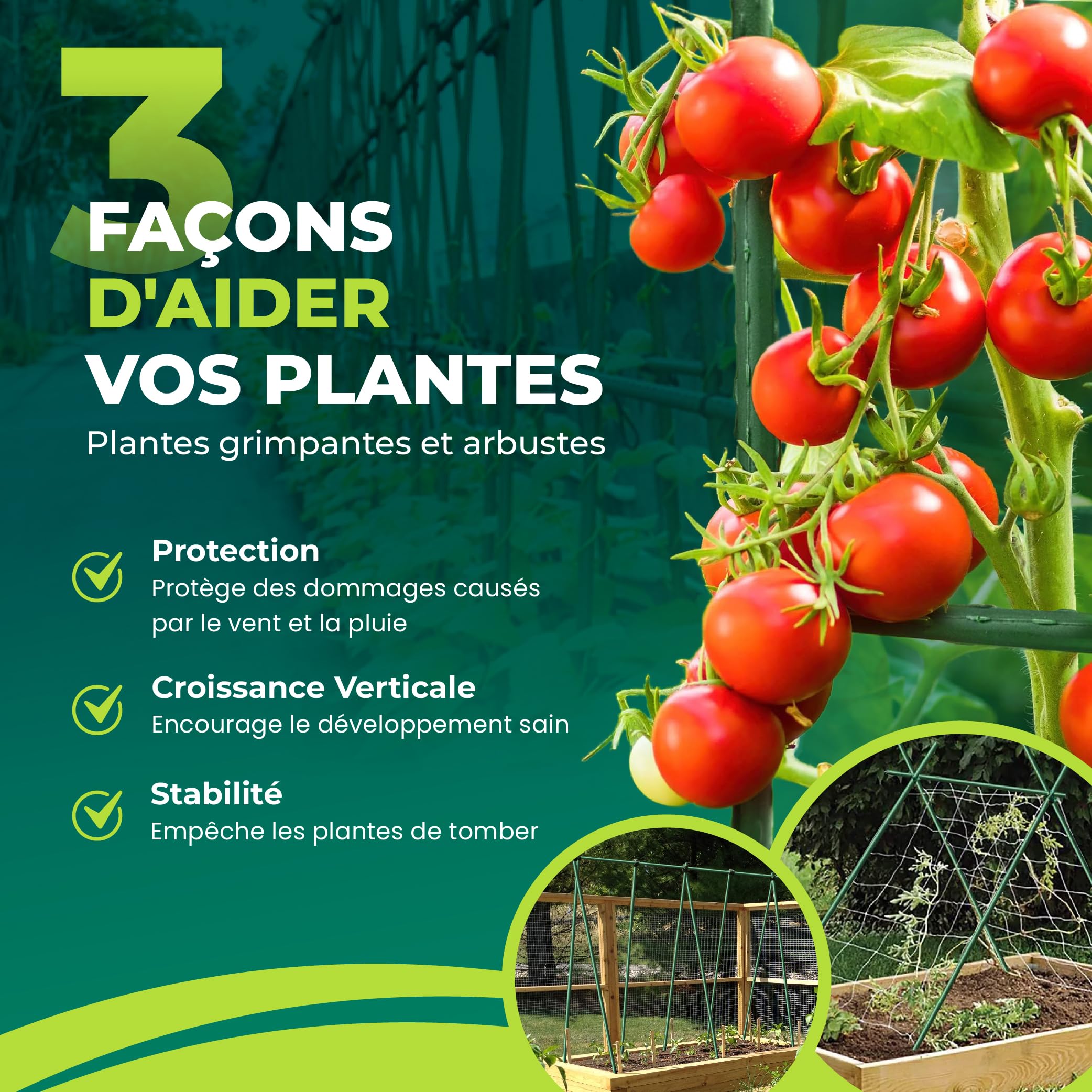 CONTROL GARDEN Lot 30 Tuteurs en Acier Plastifié pour Plantes Hauteur 180 cm Ø 10 mm | Tiges de Soutien | Support de Culture Adapté Intérieur et Extérieur