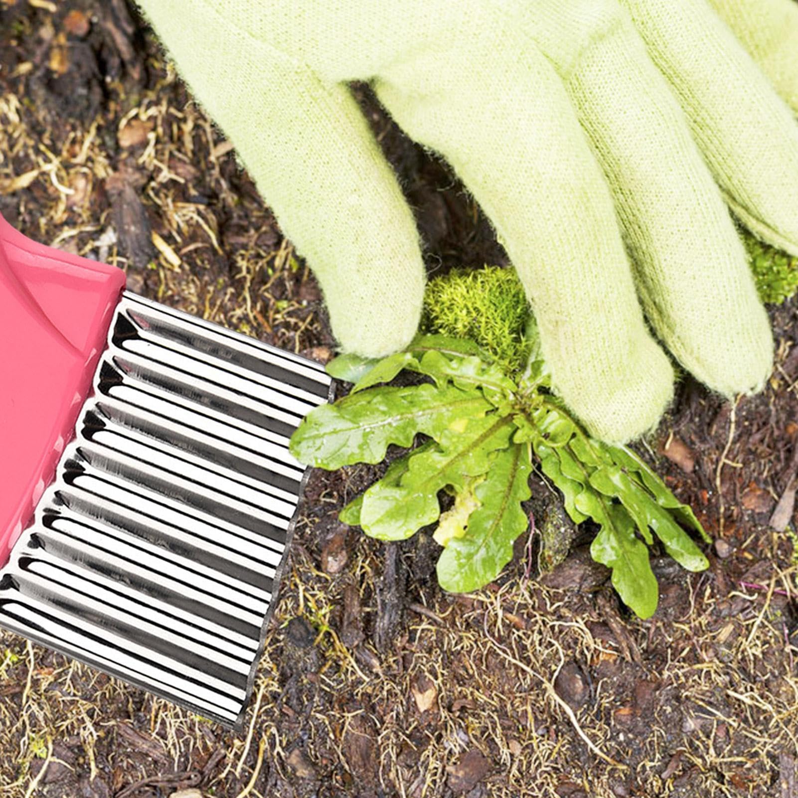 Amazon.co.jp: 歩道ひび割れ除草機, 雑草ブラシ 除草 入り 草抜き機