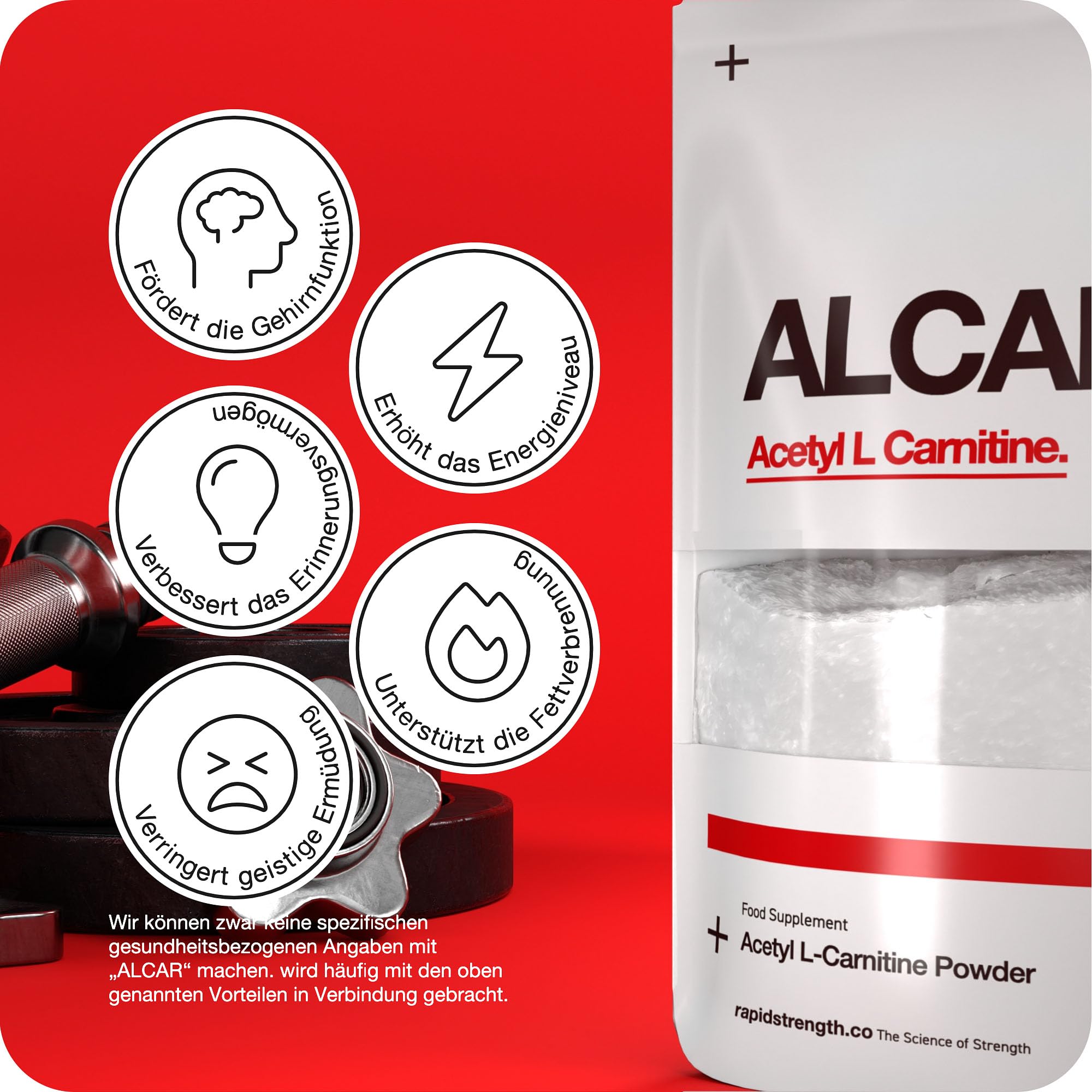 ALCAR Acetyl L-Carnitin Pulver 100g rein