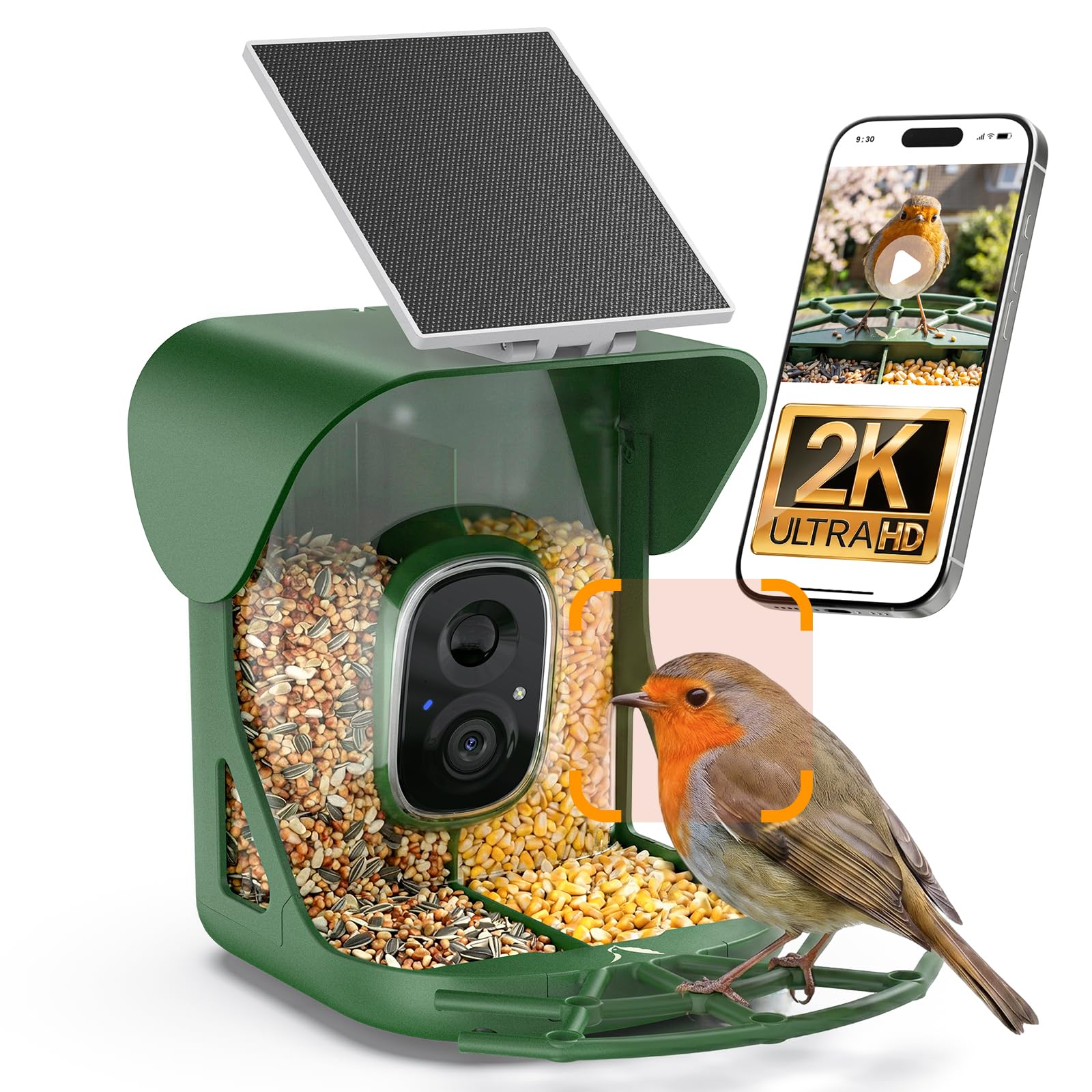 Smart Bird Feeder Camera, AI Identify Birds Species, 2K HD Color Night Vision, IP65 Waterproof Solar Powered Bird Feeder with 142° Wide Angle, Auto Capture & Real-time Notifications