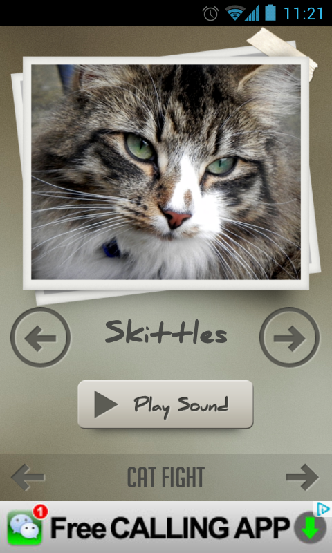 Cat Sounds - App on Amazon Appstore