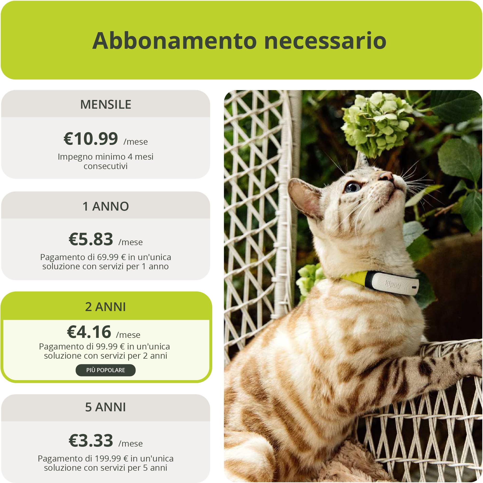 Kippy Cat V2 - Collare GPS per Gatti - Localizzatore e Tracker di Salute e Attività con Sistema Antistrozzo - Crea Confini Virtuali