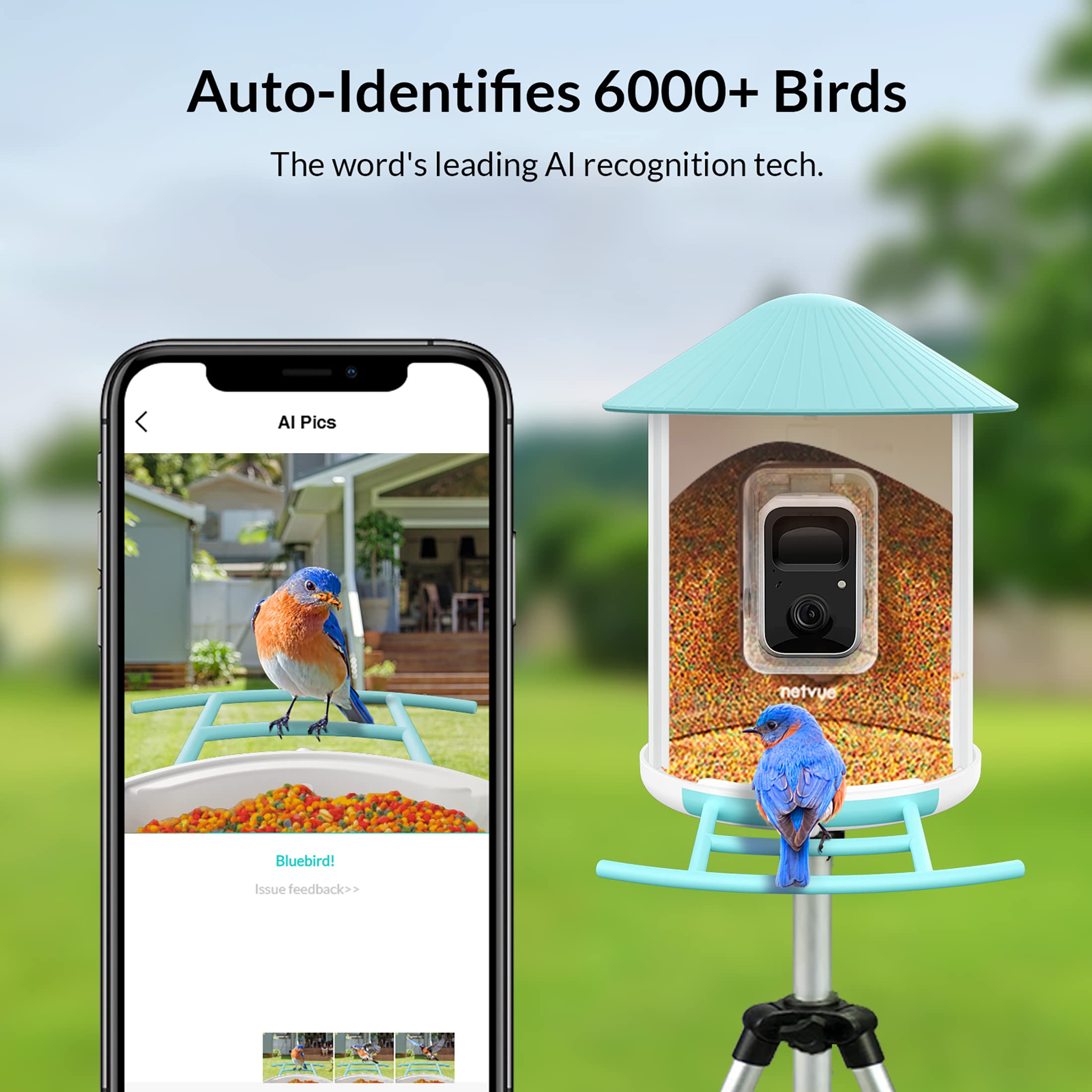 NETVUE Birdfy - Comedero Inteligente para Pájaros con Cámara y Panel Solar, Reconocimiento AI de Especies de Aves, Exterior con Potente Base de Datos de Aves