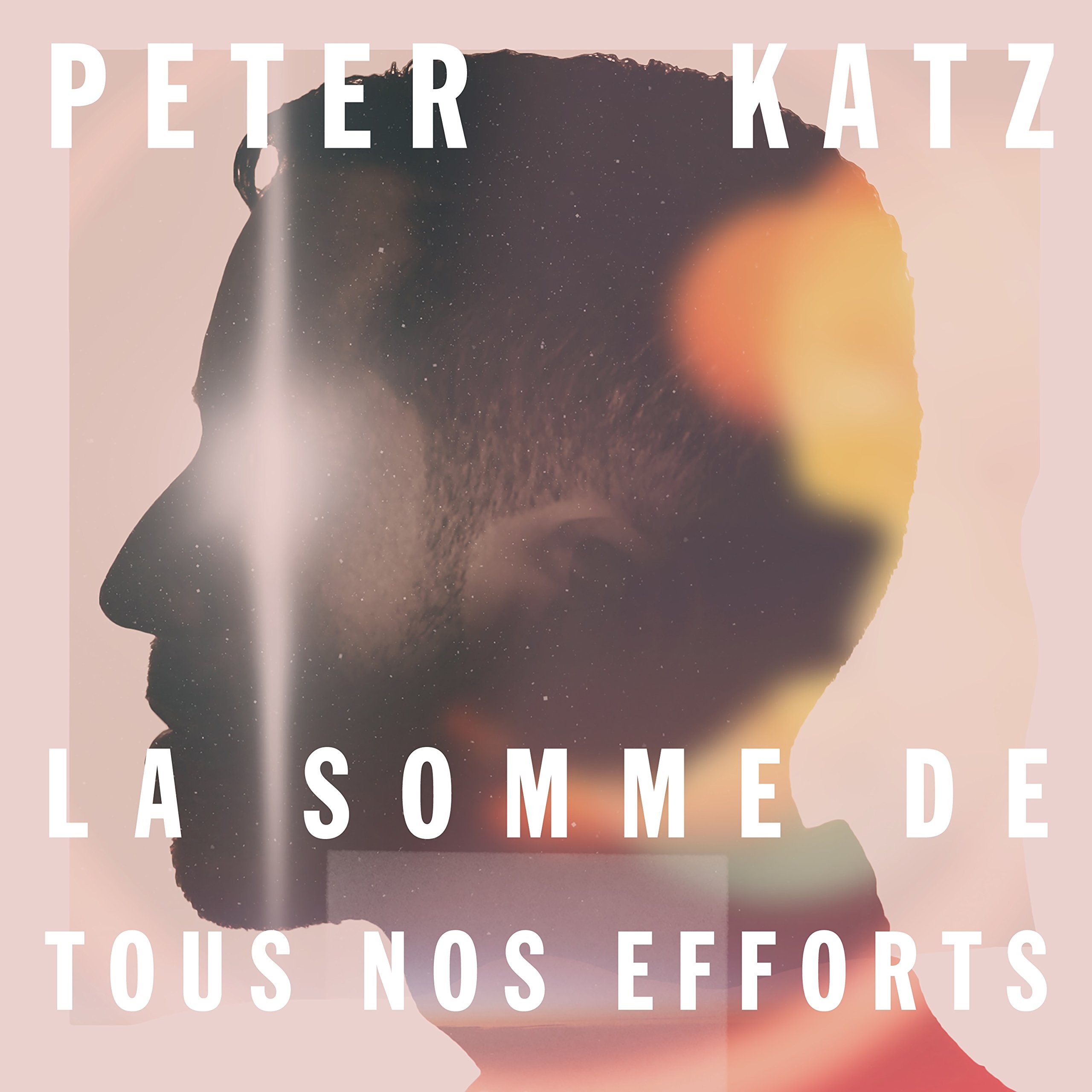 La Somme De Tou Nos Effort [Audio CD] Peter Katz