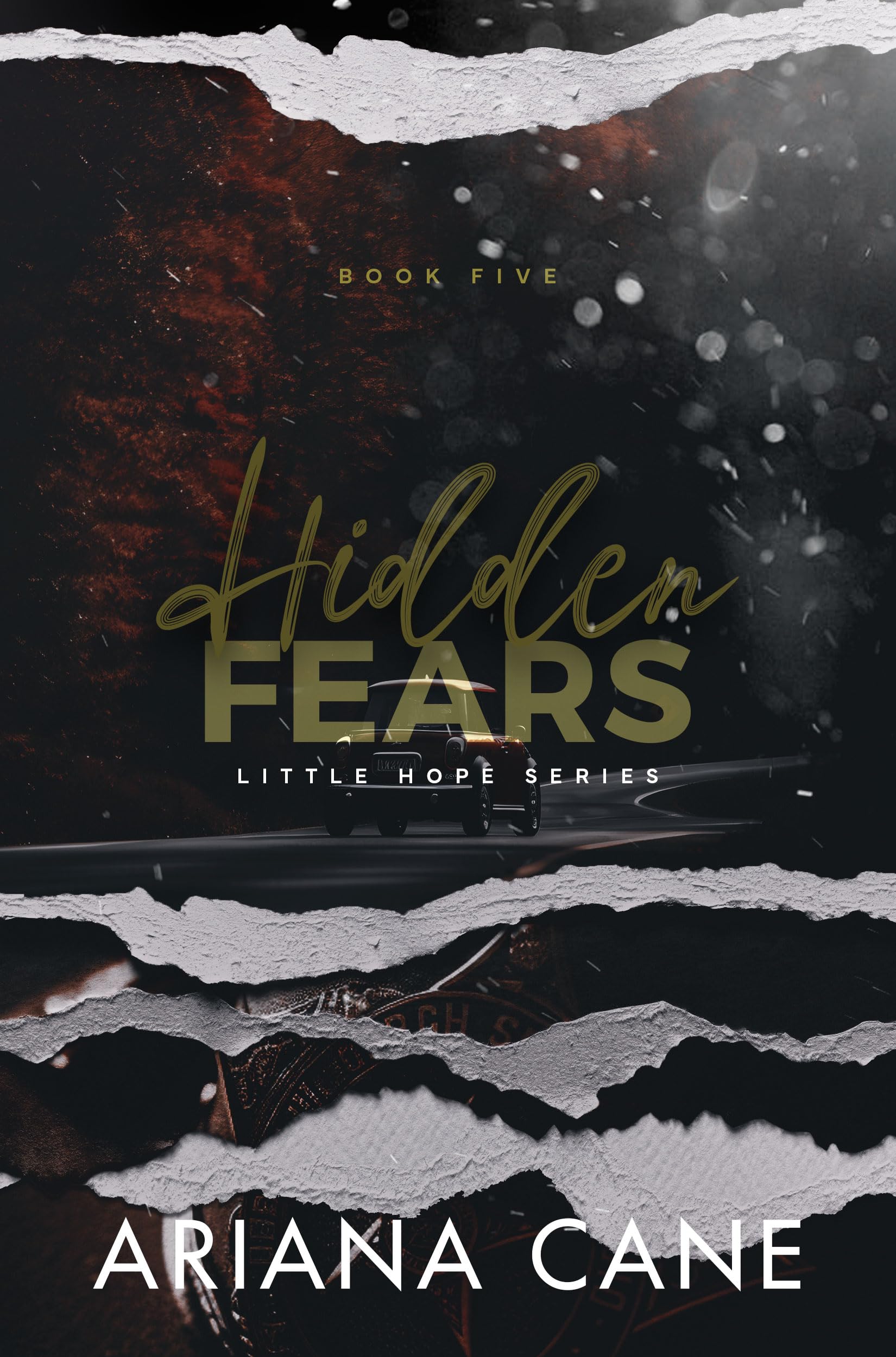 Hidden Fears: Small town, age gap, enemies to lovers romance