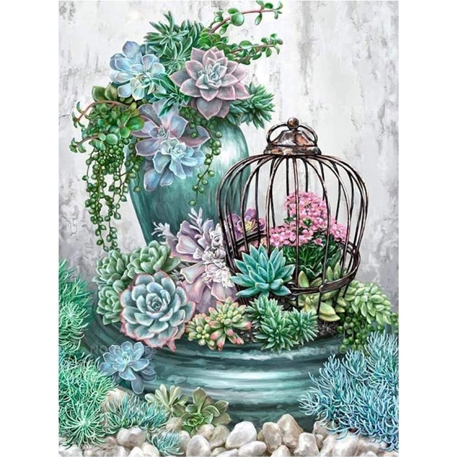 Diymood 5D Diamond Painting Plantes Succulents Kit - DIY Broderie Diamant Fleurs Point De Croix - Salon Chambre Craft - Décoration Murale - Diamant Kit Complet - 30x40 Cm