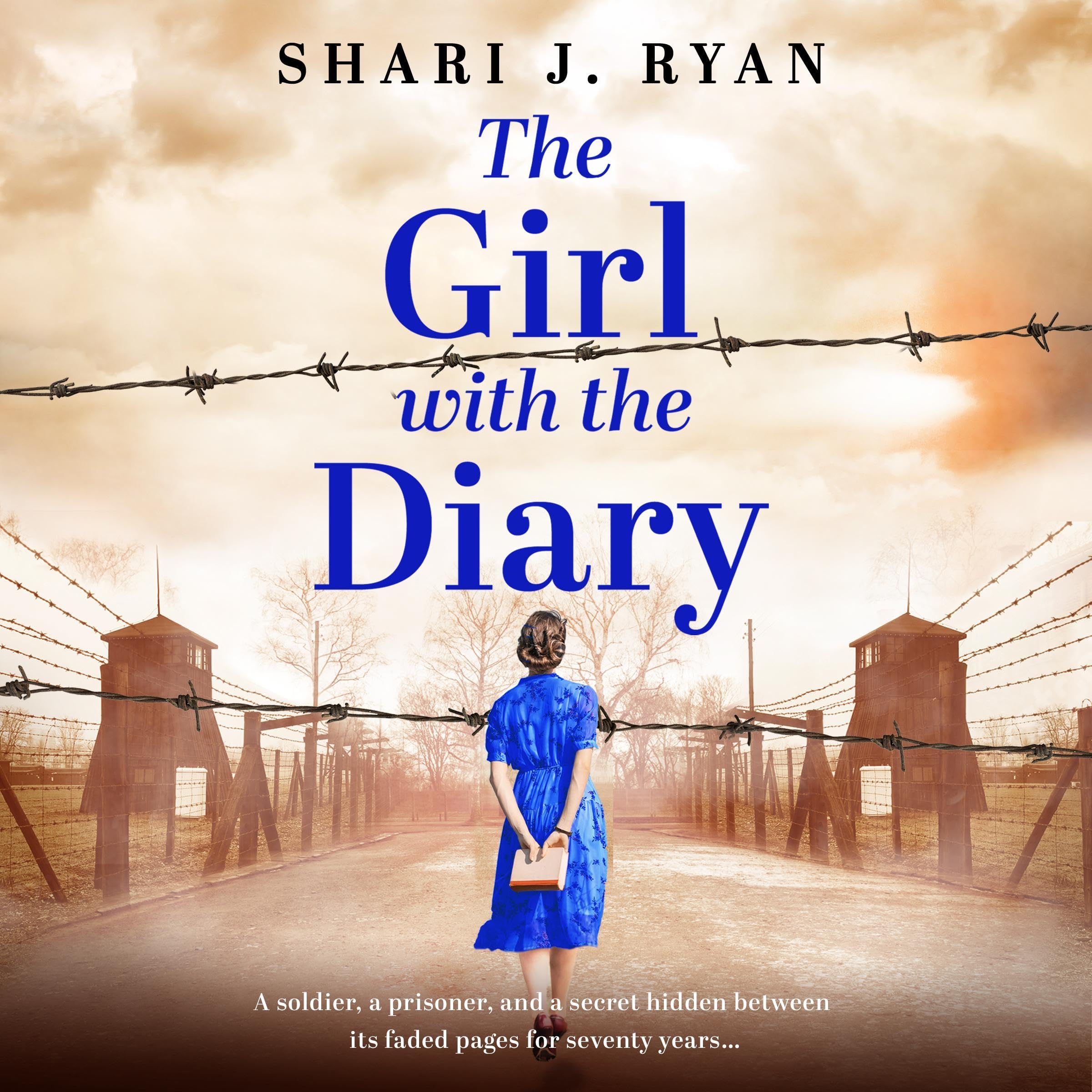 Cover art for The Girl with the Diary