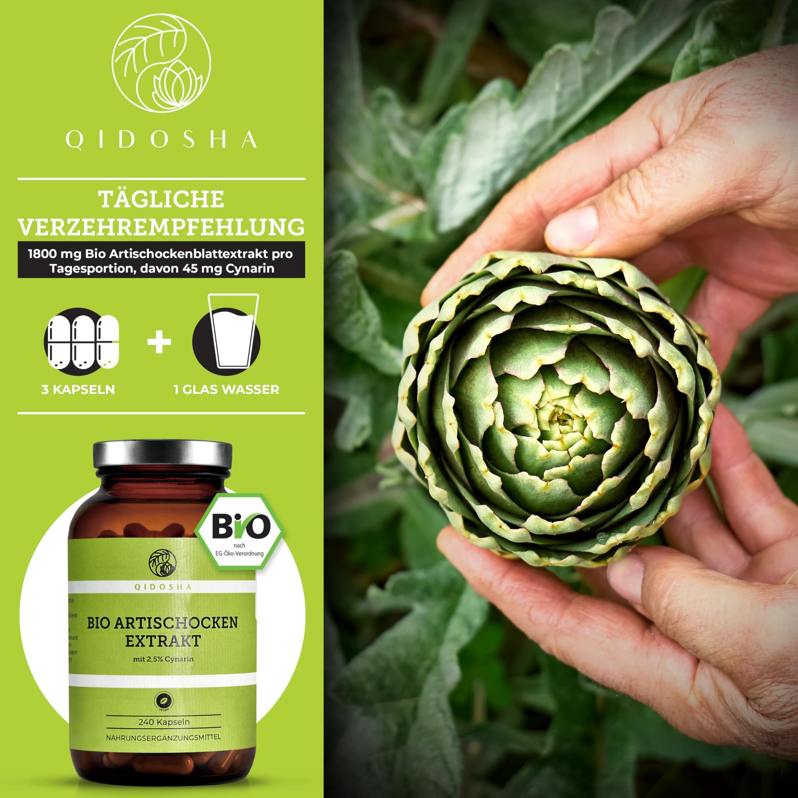 QIDOSHA® Bio Artischocken-Extrakt aus Frankreich, 240 Kapseln im Apothekerglas, 1800mg je Tagesportion, 600mg je Kapsel, mit 2,5% Cynarin, deutsche Fertigung, jede Charge laborgeprüft