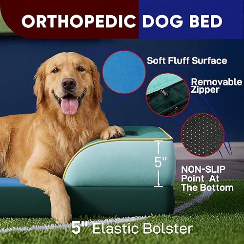 Miniatura 96 de Comfort Expression - Cama ortopédica para perros extragrandes, 53 x 42 pulgadas, cama impermeable y de apoyo de espuma con cojines removibles, con