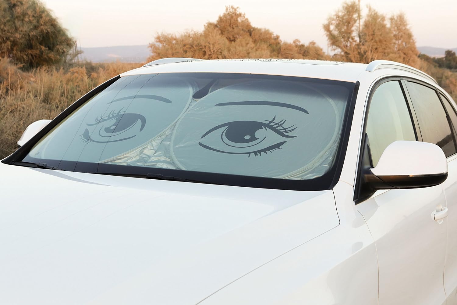 iShade Car Windshield Sunshade Large Size with Eye Design, Non Slip Mats, Protect Your Vehicle from UV Sun Damage, Silver Front and Black Backing, Zippered Carry Bag