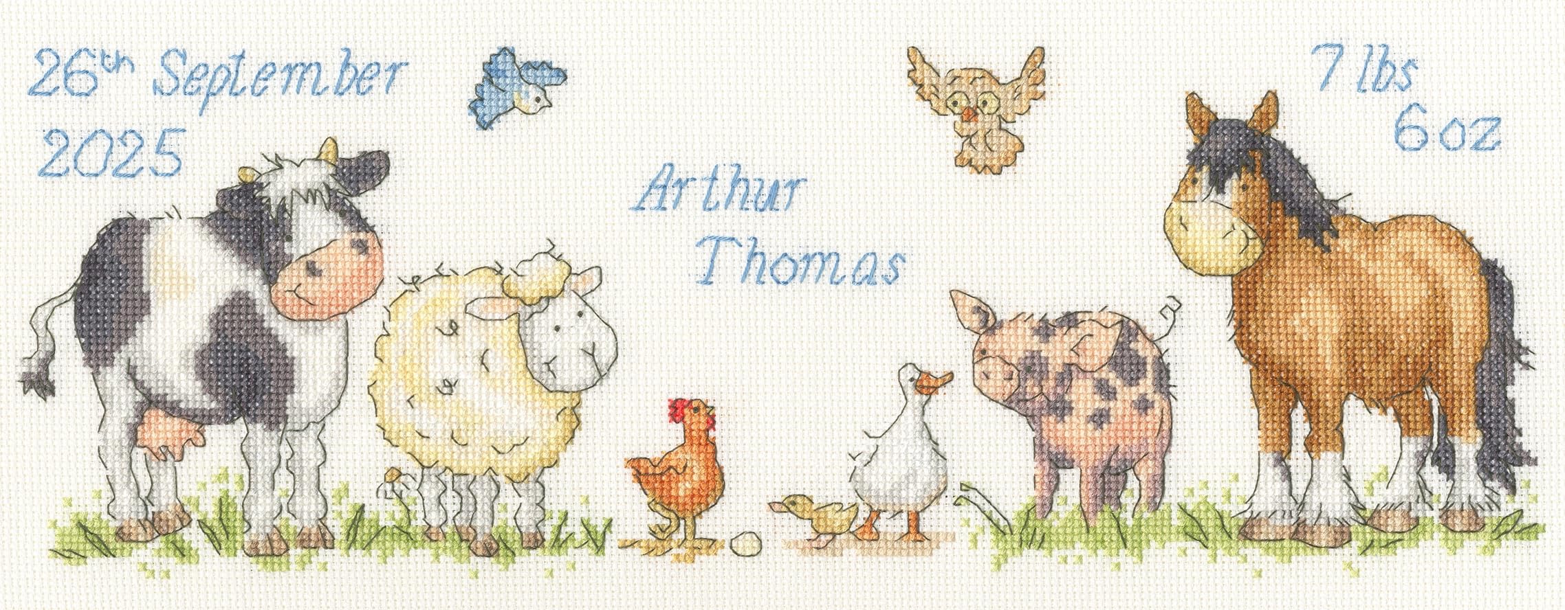 Bothy Threads Counted Cross Stitch Kit - Farmyard Welcome
