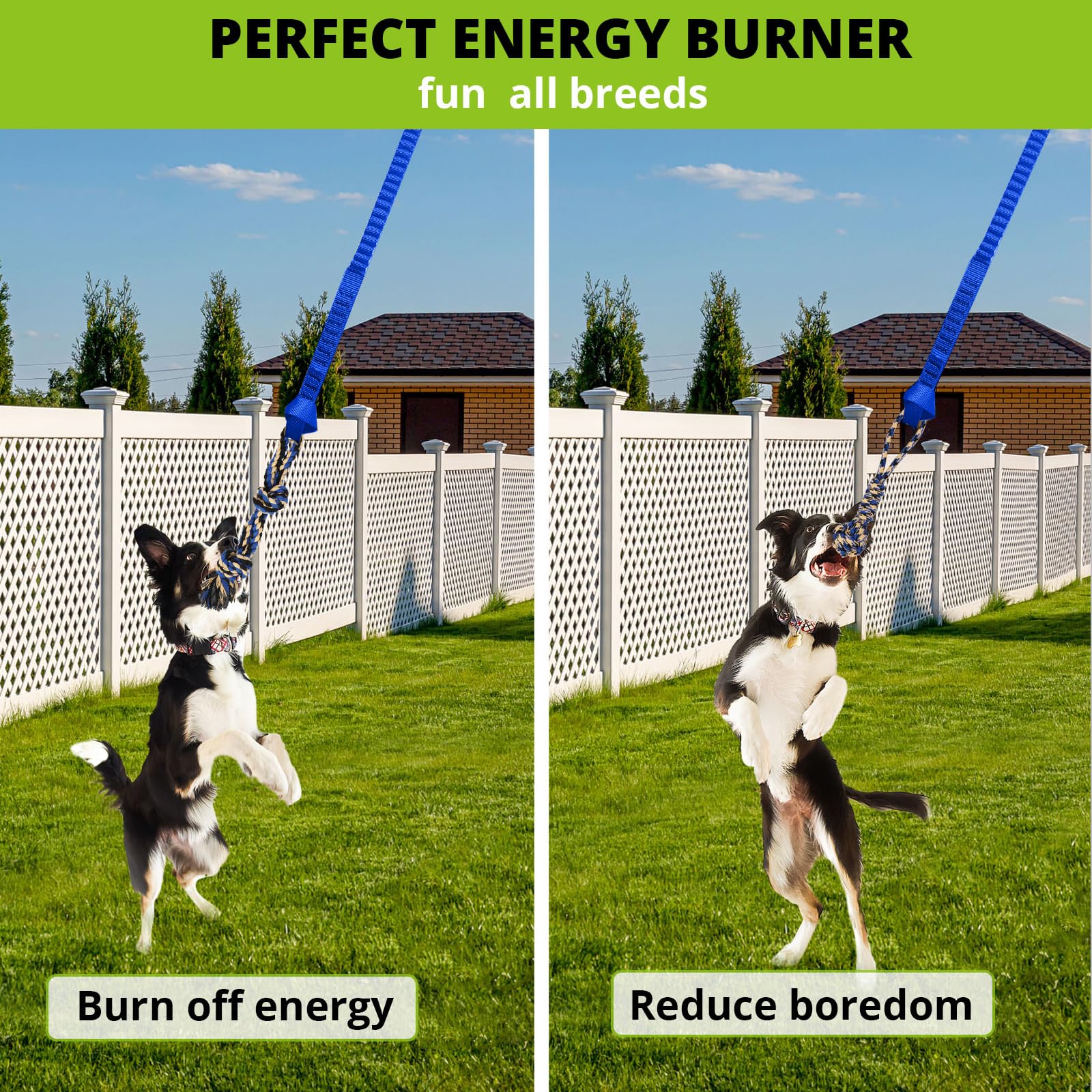Juguete elástico Colgante para Perros: Cuerda interactiva para Perros pequeños a Grandes Pitbull para Hacer Ejercicio y Equipo de Entrenamiento, Juguete de Cuerda para Perros al Aire Libre