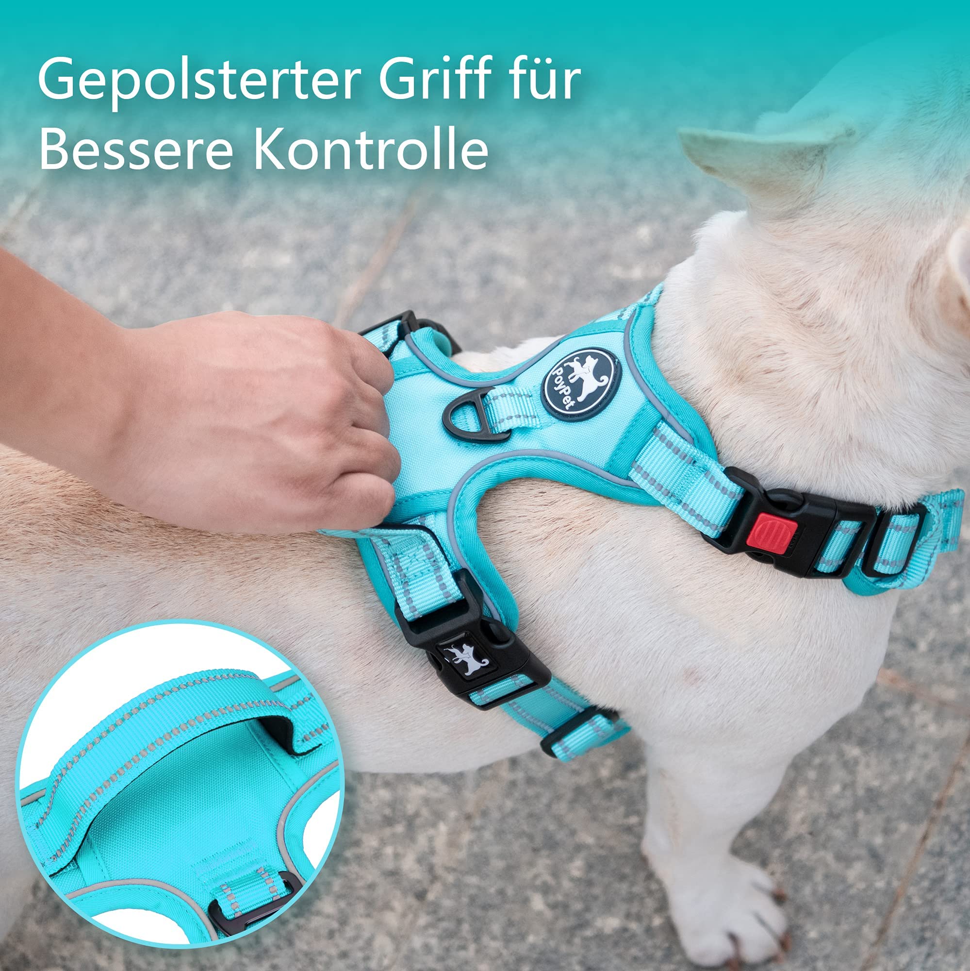 PoyPet Pettorina per Cani Nessuna Tirata, Pettorina Riflettente per Cani senza Choke, Pettorina Regolabile, Imbottitura Morbida e Comoda con Maniglia Easy Control per Cani da Piccoli a Grandi (Blu