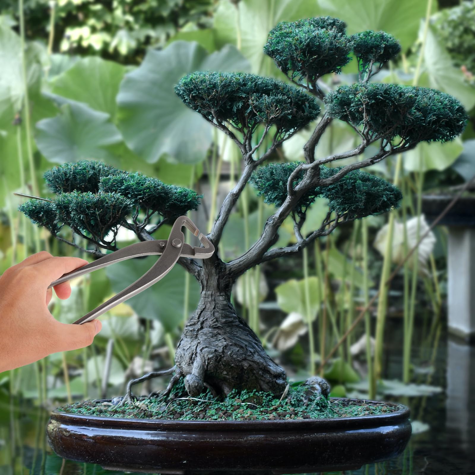jojofuny Sécateur à Bonsaï en Acier Argenté Design Ergonomique, Outil Polyvalent Taille Sculpture Créative des Branches de Bonsaï