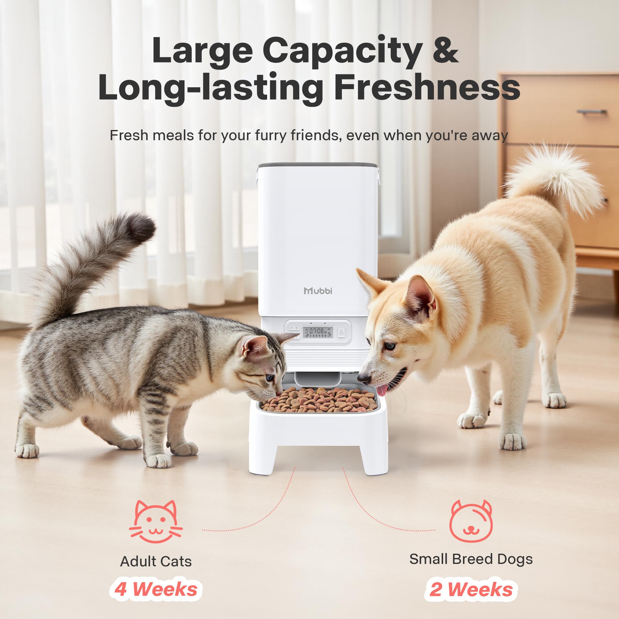 Comedero automático para gatos, 7 L, dispensador de alimentos para perros, 1-6 comidas, ideal para múltiples mascotas, doble fuente de alimentación, estable