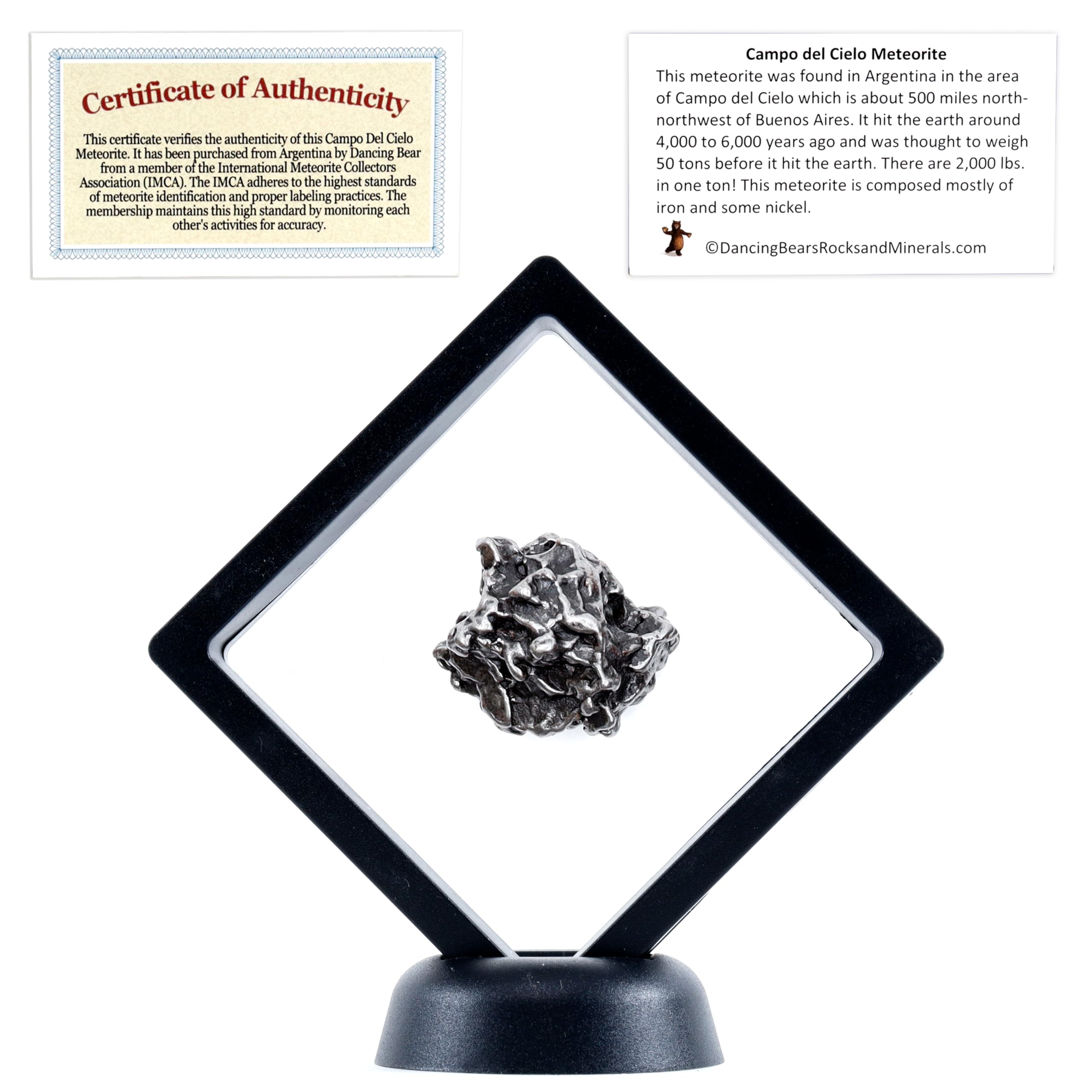 DANCING BEAR Real Meteorite Extra Large (35-55g) Genuine Form Campo Del Cielo Argentina, Certificate of Authenticity, Display Stand, ID Card, Space Rock, Assembled in The USA