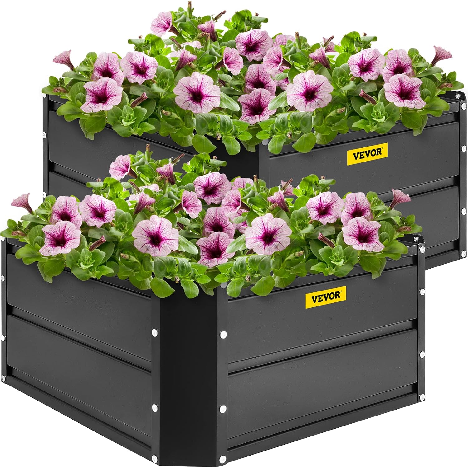 VEVOR Galvanized Raised Garden Bed, 24" x 24" x 12" Metal Planter Box, 2 PCS Steel Raised Garden Bed Kit, Black Planter Boxes Outdoor for Growing Vegetables,Flowers,Fruits,Herbs,and Succulents