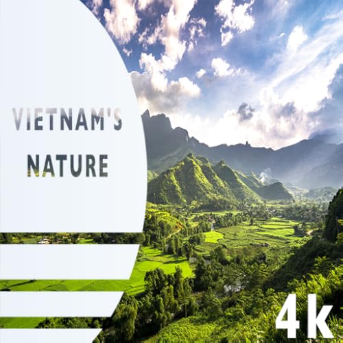 Serenidade vietnamita: paisagens tranquilas - melodias relaxantes • refúgio tranquilo para spa, ioga