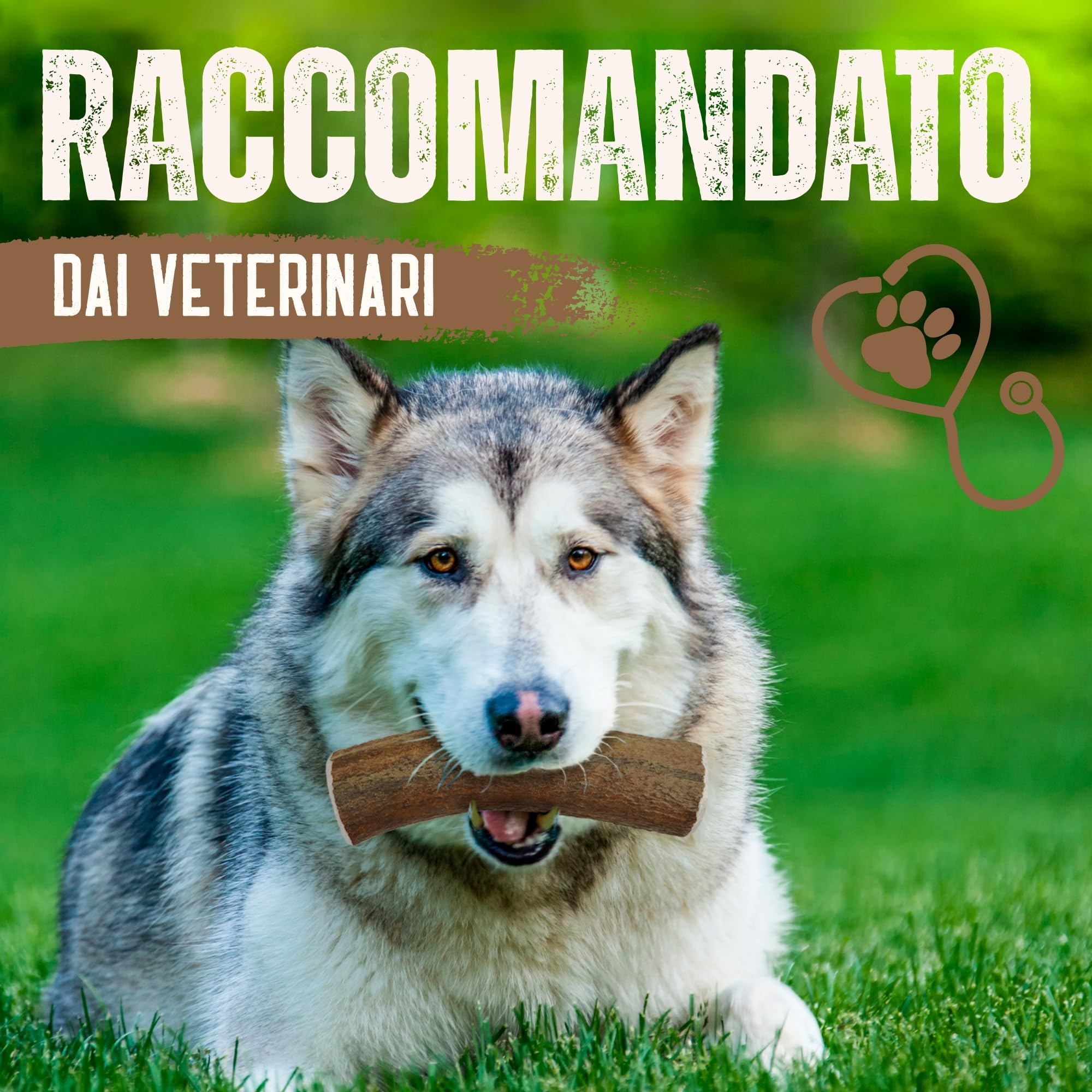 Corno di Cervo Naturale per Cani | Masticatore Dentale Duraturo | Origine Naturale, Senza Additivi | Kira&Gara® (XL - 200-240g, Pack de 1)
