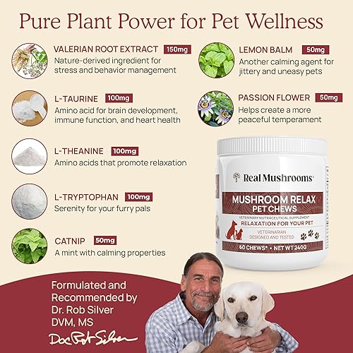 Miniatura 7 de Real Mushrooms Cola de pavo para humanos (90 unidades) y masticables relajantes de hongos para mascotas (60 masticables) - Paquete para inmunidad y