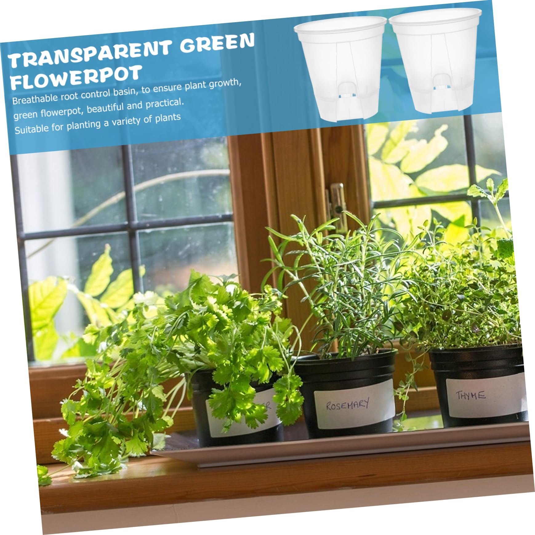 TOYANDONA 6 Pièces Pots de Fleurs Transparent Plastique Drainage pour Plantes Intérieur Pots de Jardinage Idéaux pour Plantes Vertes