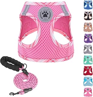 BEAUTYZOO Dog Harness and Leash Set for Small Medium Dogs,No Pull Step-in Harness for Puppy S M Sized Dogs and Cats,Air Me...