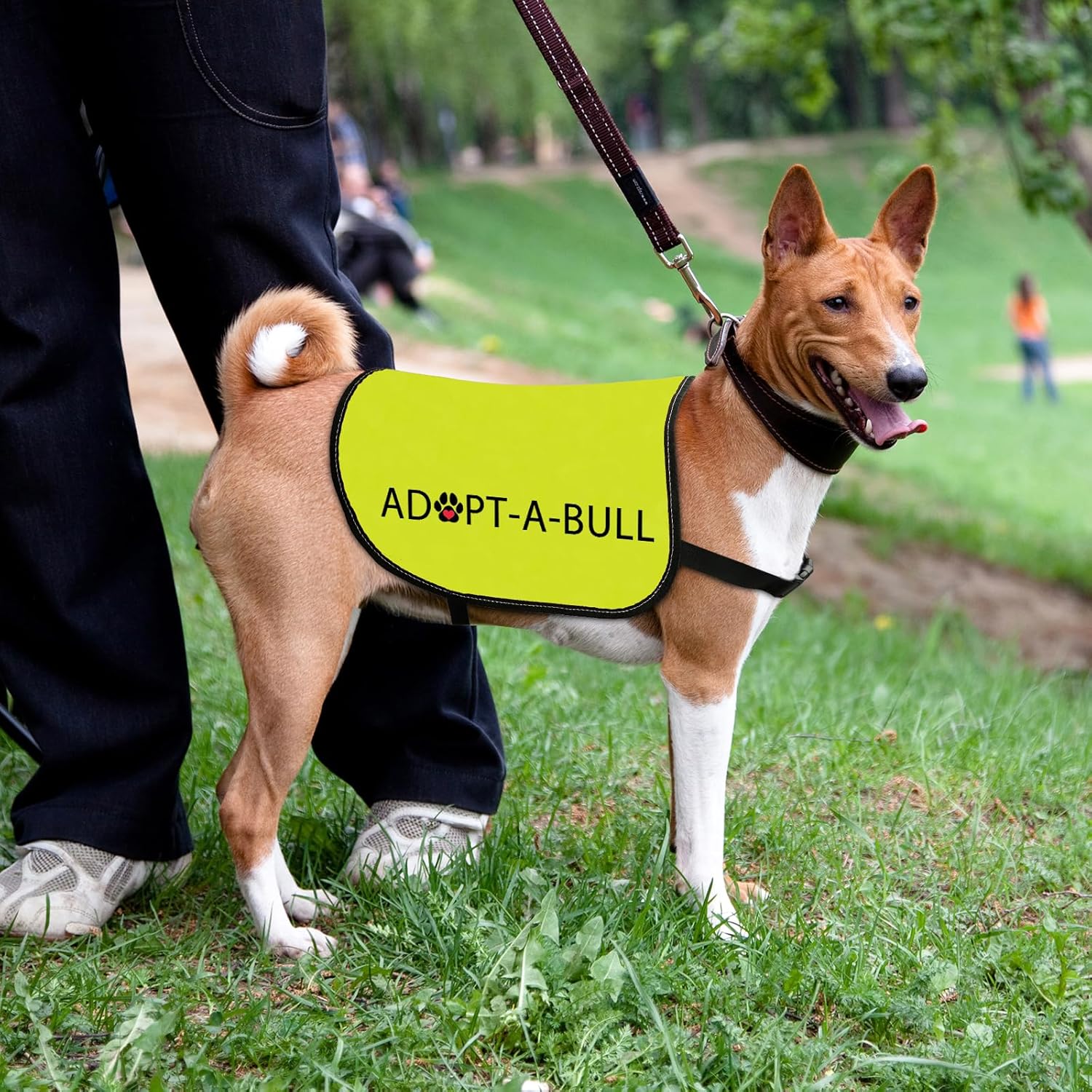 Dog Adoption Jacket Vest Adopt A Bull Dog Harness Rescue Pitbull Slogan Vest (Adopt-A-Bull-Medium) - Image 5