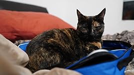 Review Image by David