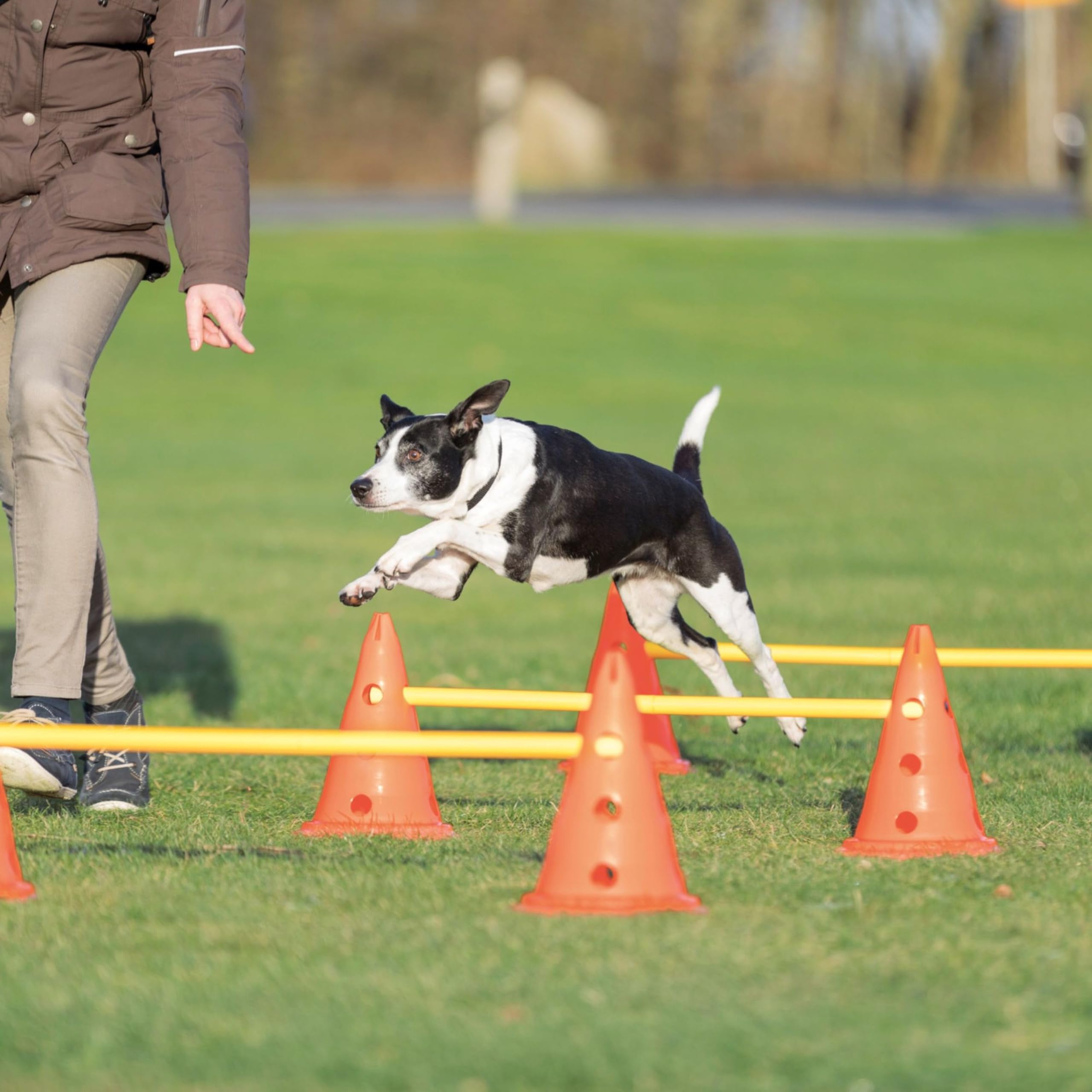 Trixie Set d’Obstacles à cônes - Accessoire d’entraînement résistant pour Agility Canine - ø 23 × 30 cm/78 cm Orange/Jaune, équipement de Sport canin pour la Maison