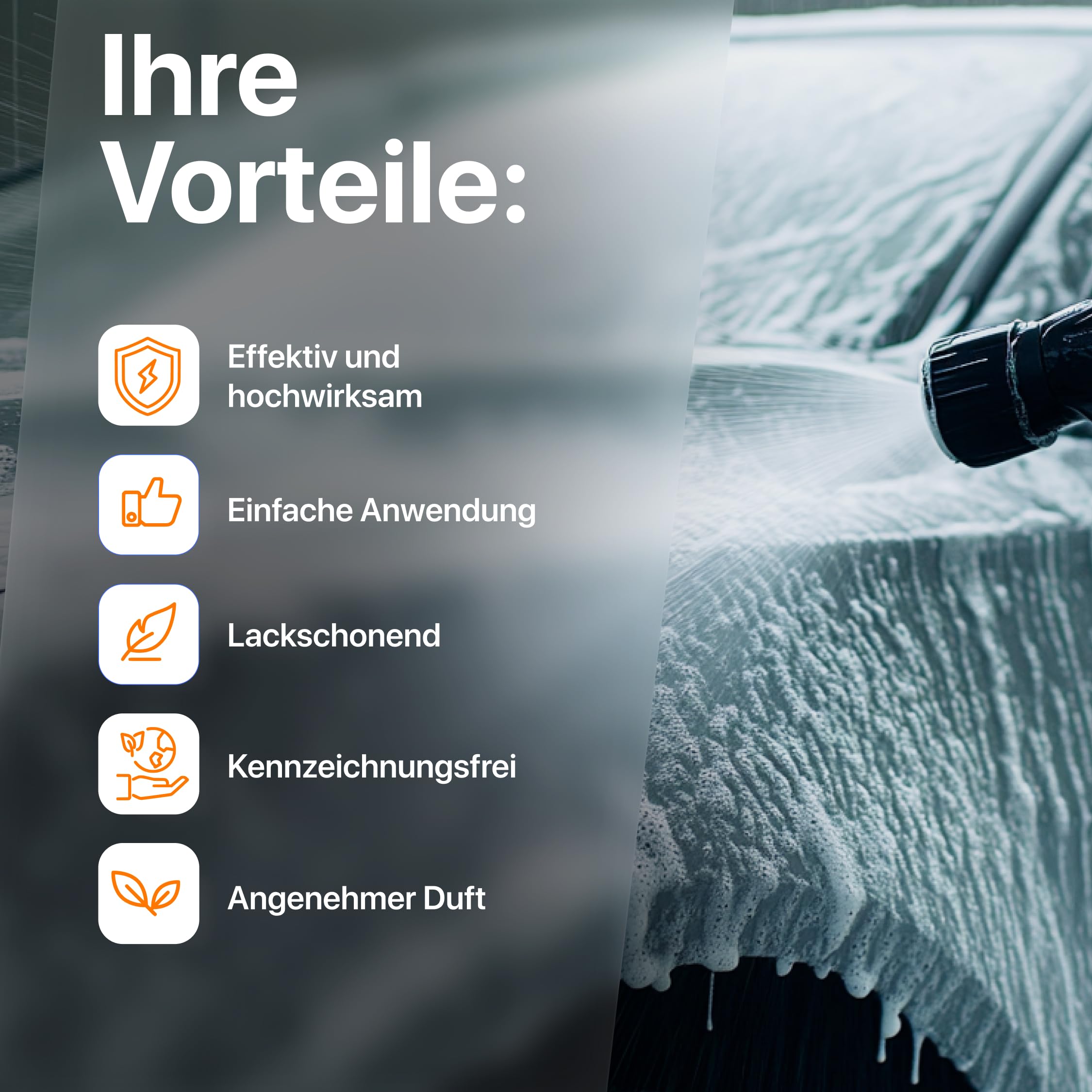 Element Insektenentferner & Schmutzlöser | 5 Liter | Insect & Dirt Remover | Material- und lackschonend | Insektenreiniger Auto KFZ