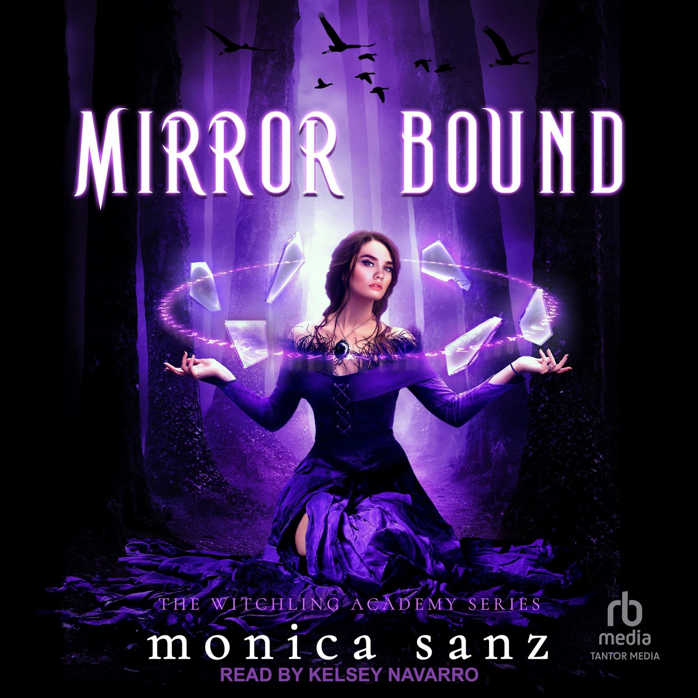 Cover art for Mirror Bound
