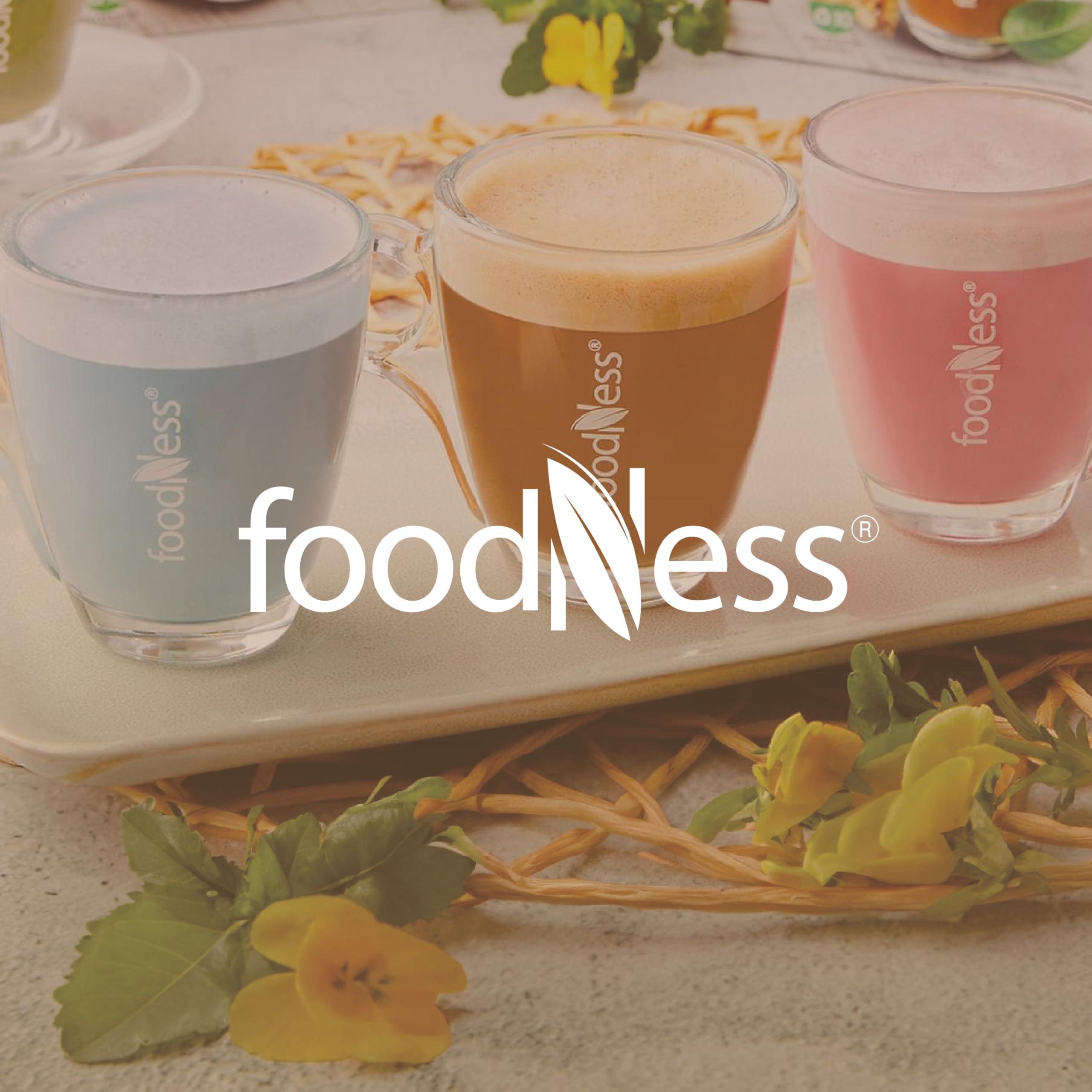 foodNess - 10 Box da 10 Capsule di Bevanda d'Orzo BIO, Capsule Compatibili con Sistema Nespresso, Bevanda Naturalmente senza Caffeina, Lattosio, Grassi Idrogenati e Zuccheri Aggiunti