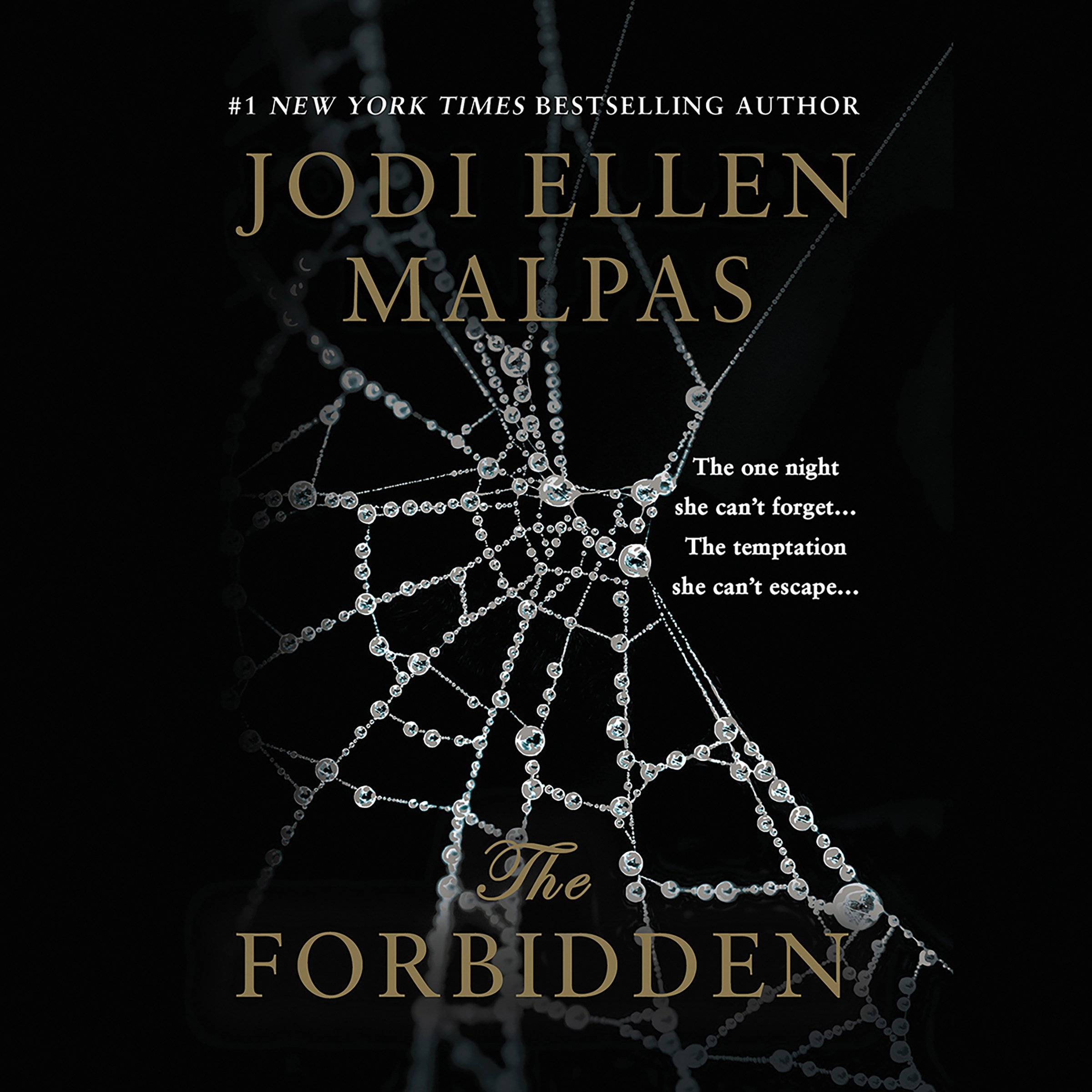 Cover art for The Forbidden