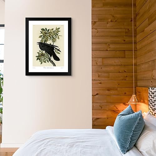 Miniatura 4 de Raven by James Audubon - Póster enmarcado para decoración de pared, pintura de obras de arte finas, pósteres e imágenes, impresiones de galería en