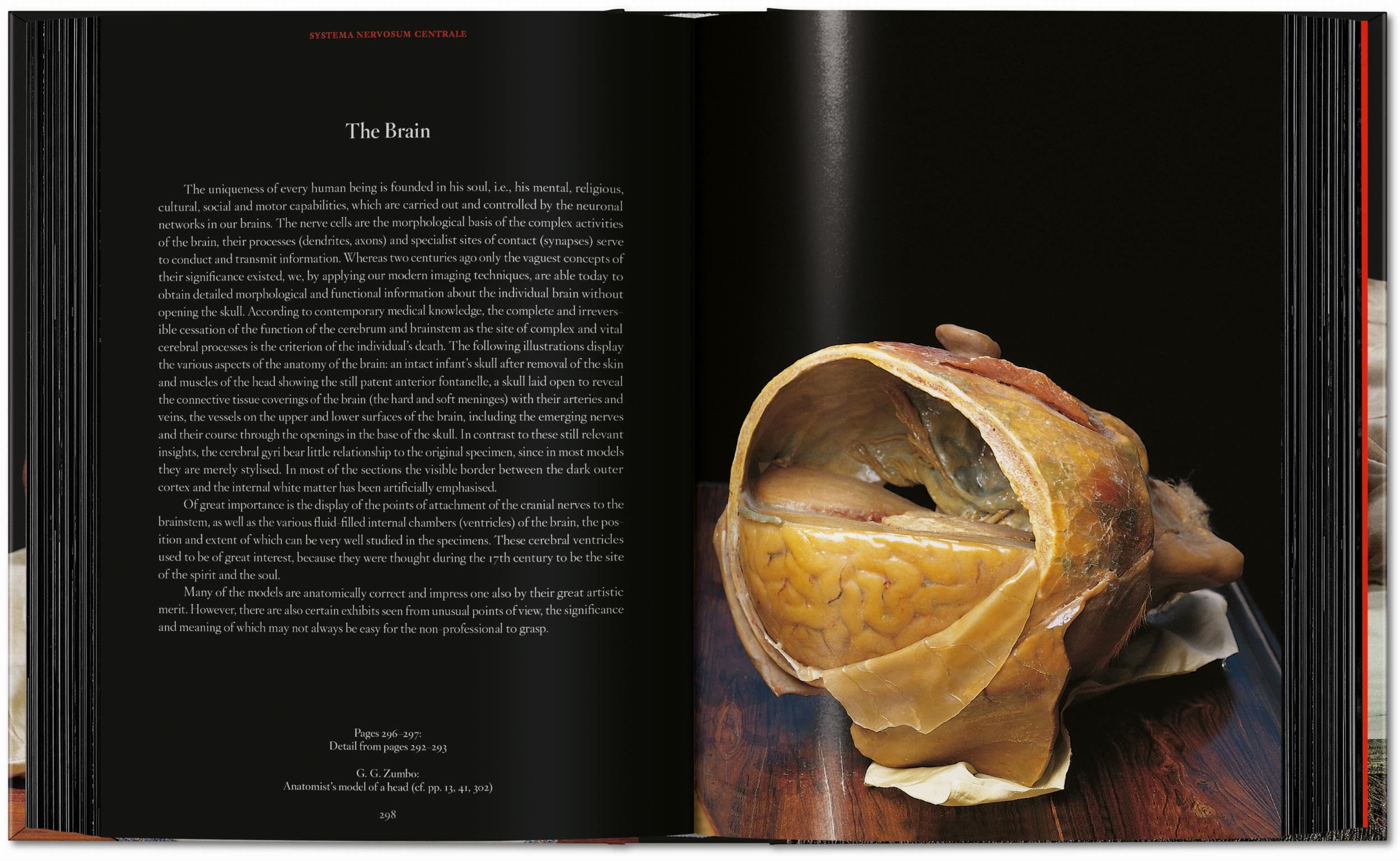 Anatomical Waxes. 45th Ed. (45th Edition)