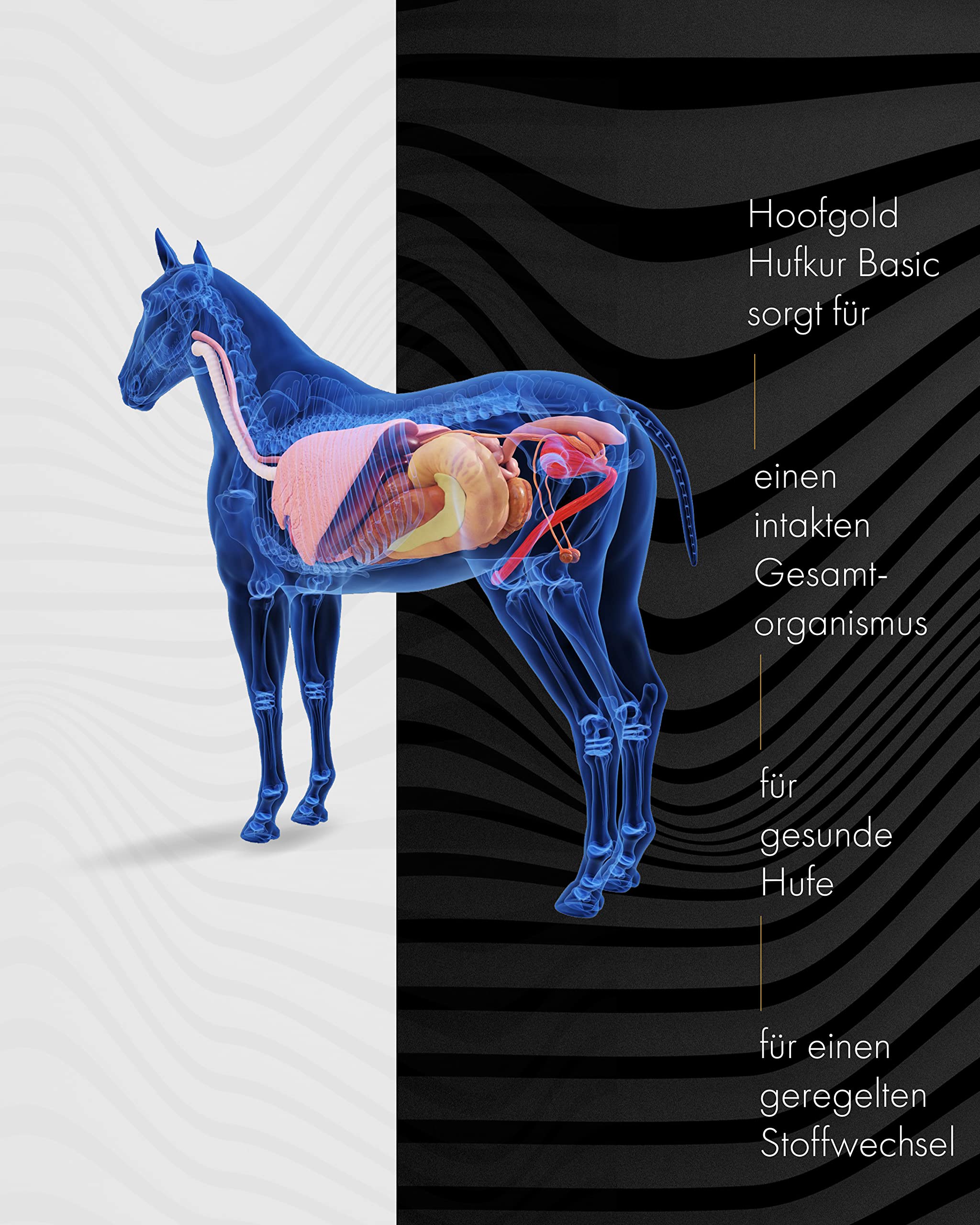 Complemento alimenticio para caballos - Refuerza el sistema inmunitario de los caballos - Antidoping - 4 kg de vitaminas para los pies
