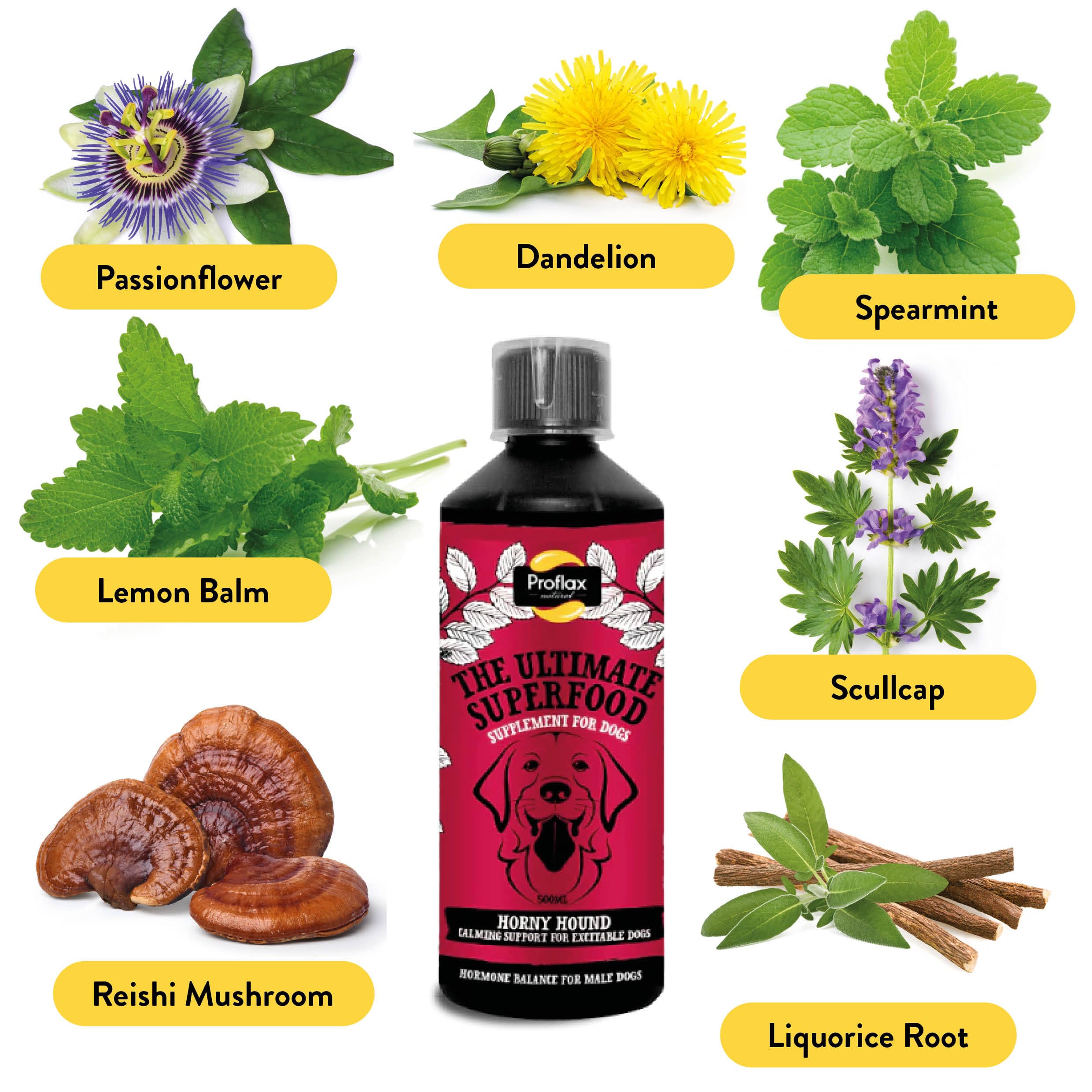 Proflax Horny Hound Hormone Balance Support for Male Dogs - Behaviour, Calm & Emotional Wellbeing, Brown, 100ml - Image 4