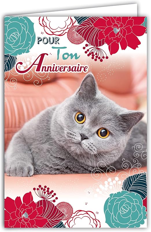 Afie 67 1115 Carte Pour Ton Anniversaire Chat Gris Doux Fleurs Bleues Rouges Roses Fabrique En France Amazon Fr Fournitures De Bureau Afie 67 1115 Carte Pour Ton Anniversaire Chat Gris Doux Fleurs Bleues Rouges Roses Fabrique En France Amazon Fr Fournitures De Bureau