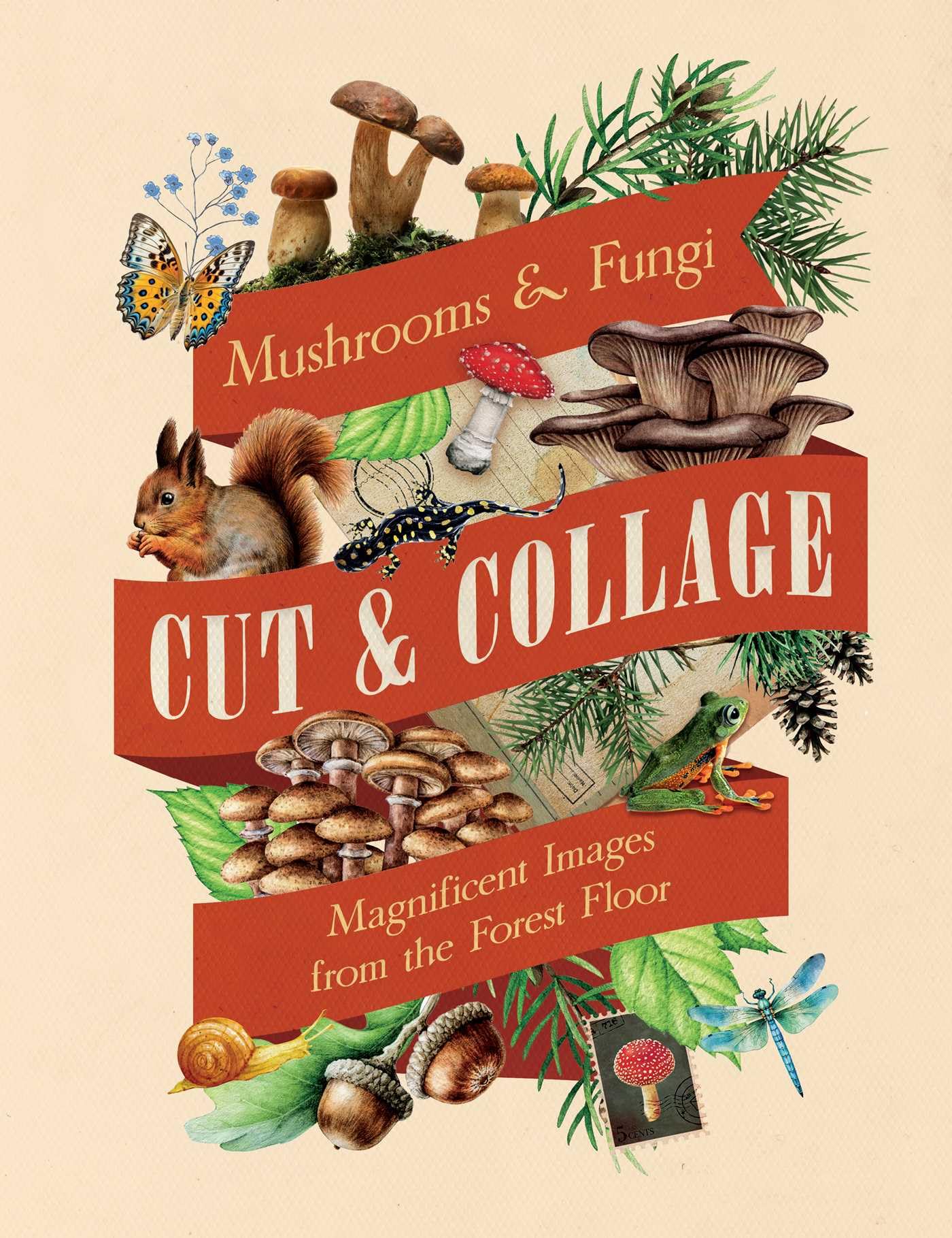 Cut & Collage Mushrooms and Fungi: Magnificent Images from the Forest Floor