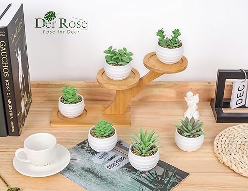 Miniatura 8 de Der Rose Paquete de 6 plantas suculentas y 4 paquetes de plantas falsas para decoración de casa de campo y oficina