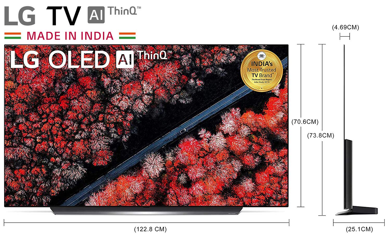 LG OLED TV dimensions with stand
