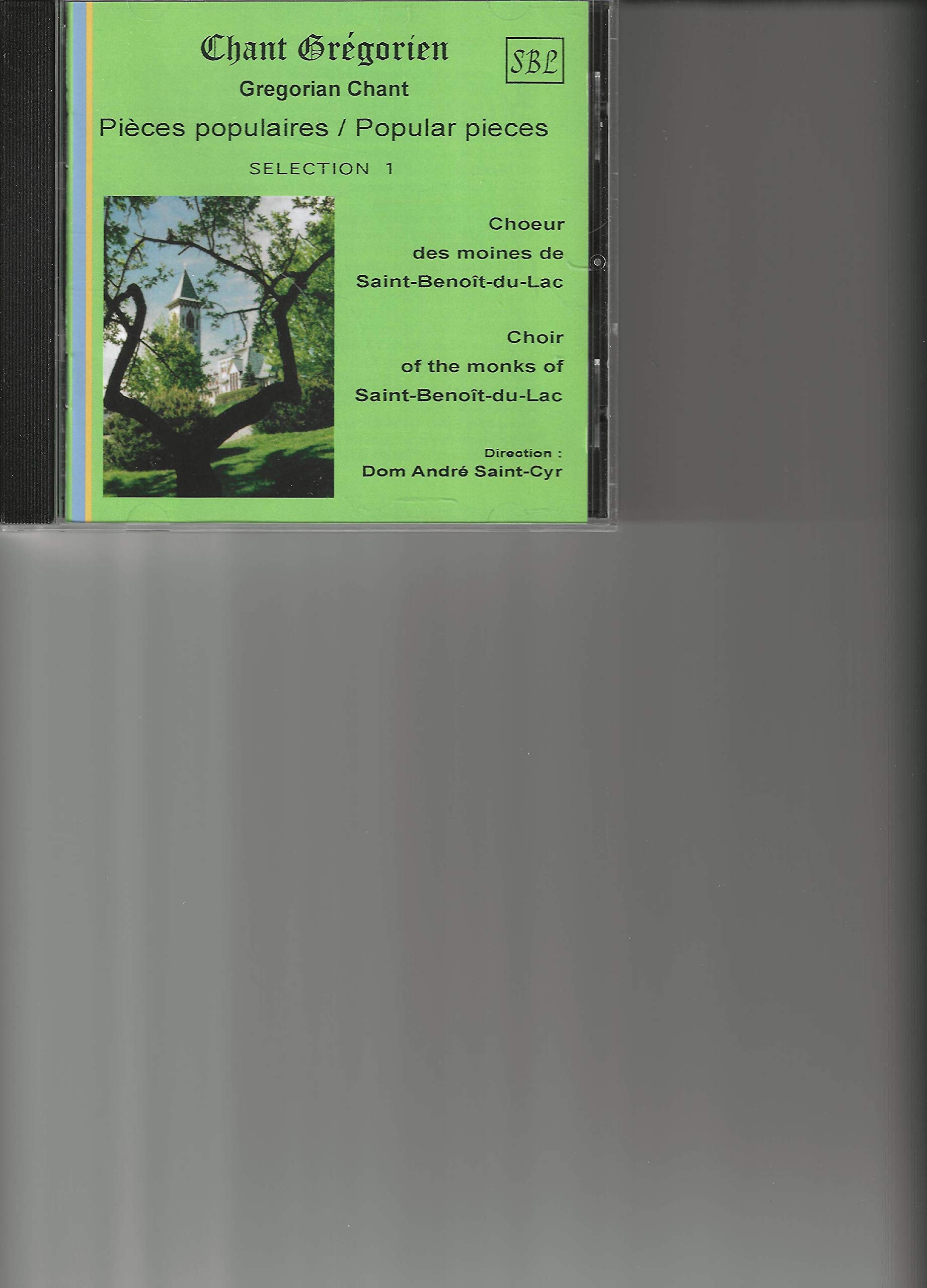 Chant Gregorien/Gregorian Chant popular pieces [Audio CD] Choir of the Monks of Saint-Benoit-du-Lac [Audio CD] Choir of the Monks of Saint-Benoit-du-Lac