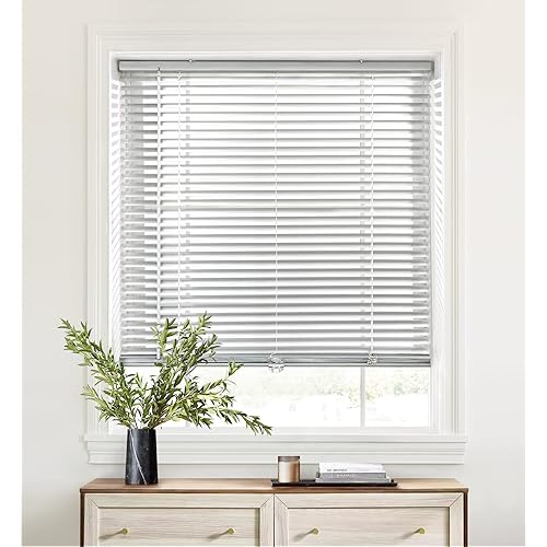 Cordless 1" Aluminum Horizontal Mini Blinds, Light Filtering Blinds for Windows, Blinds & Shades for Window Size 29'' W x 48'' H, Silver Grey