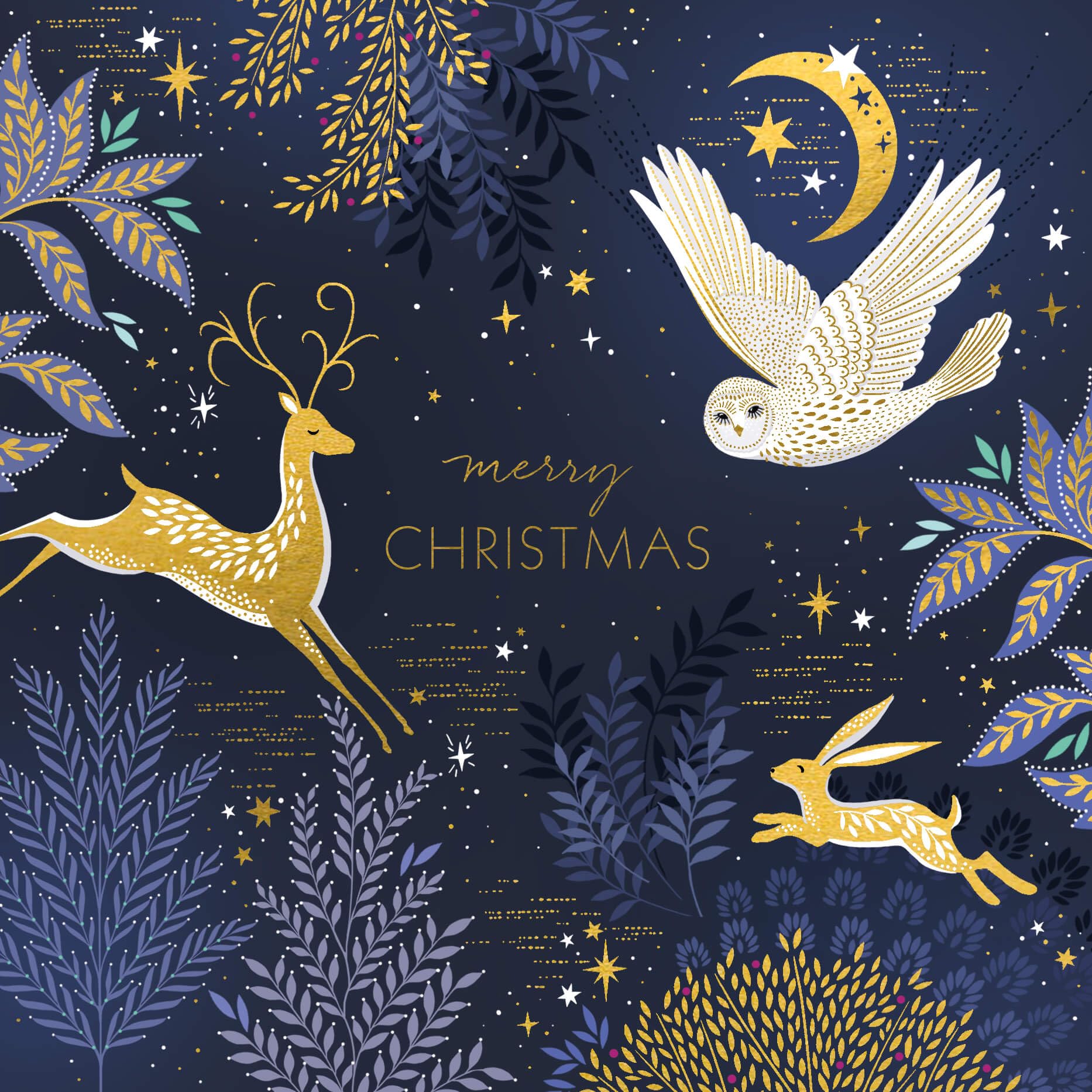 Christmas Cards Wildlife - Luxury Pack 8 Sara Miller Embossed Foiled Xmas Cards