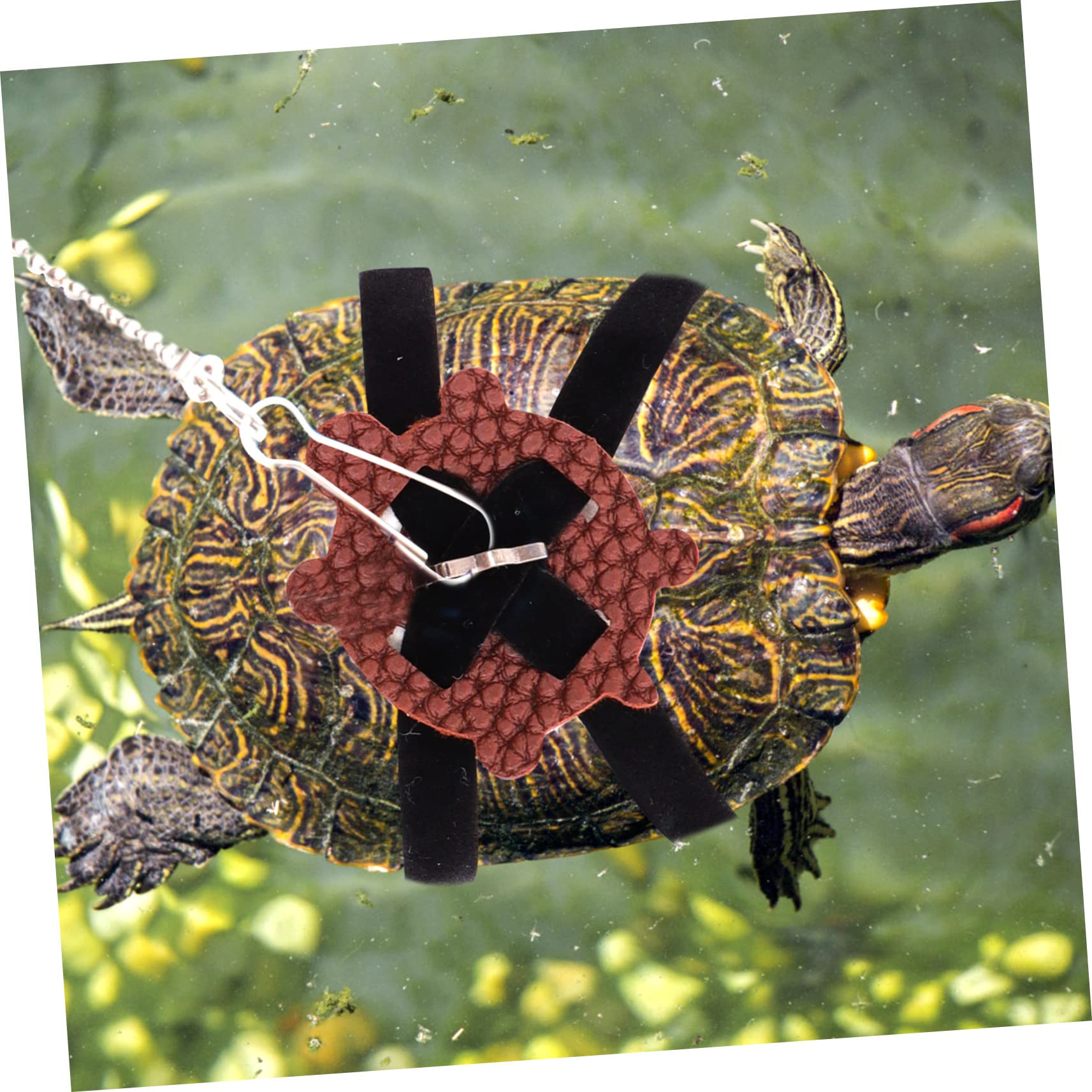 Suede Animal Harness Turtle Leash And Harness - Adjustable Reptile ...